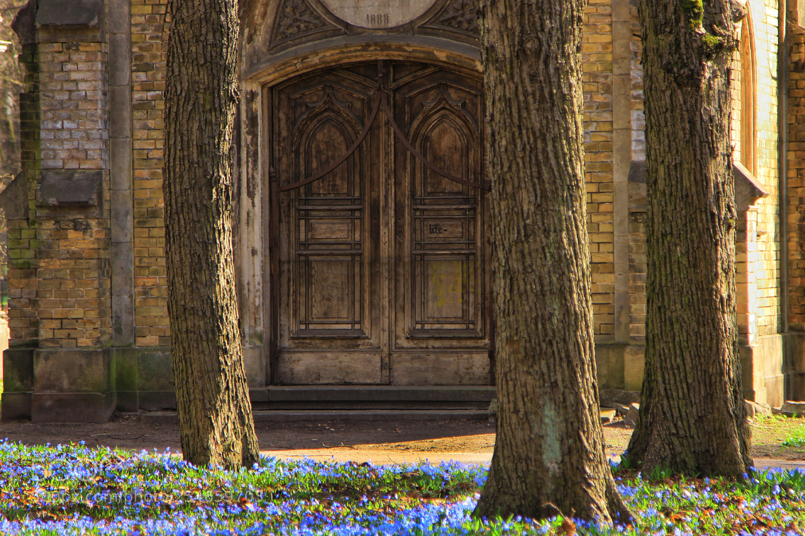 Canon EOS 60D sample photo. In old park photography