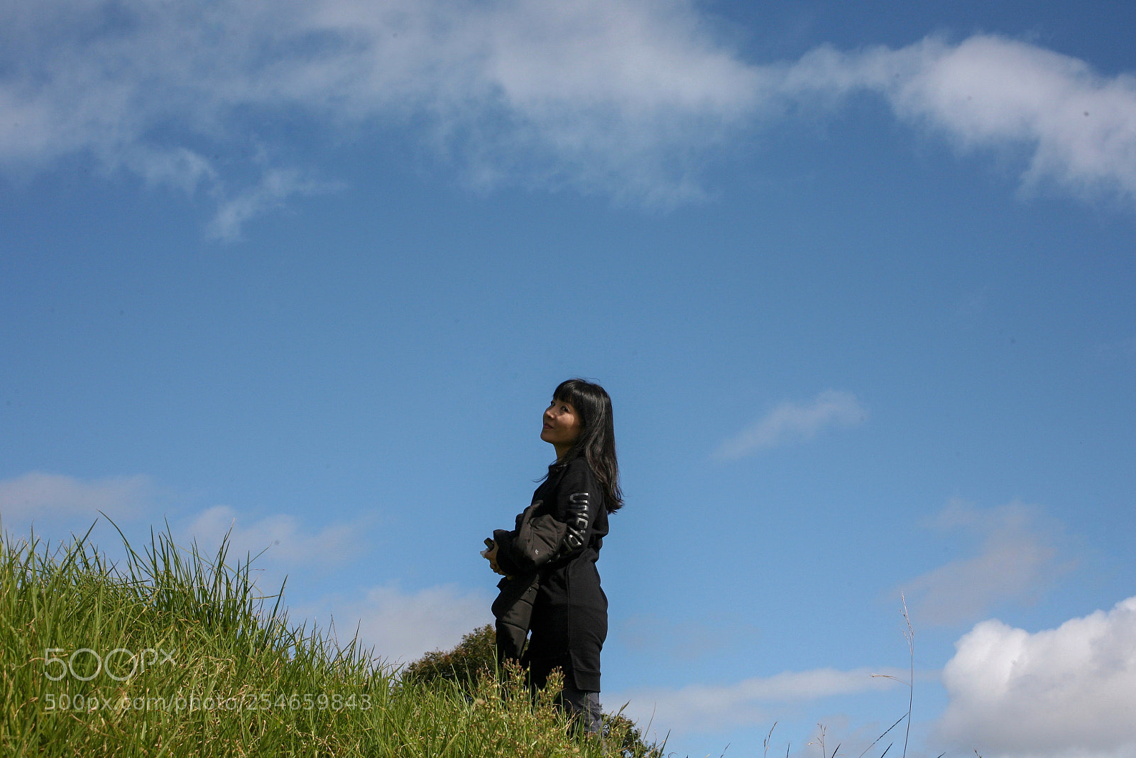 Canon EOS 5D sample photo. The impression of auckland's photography