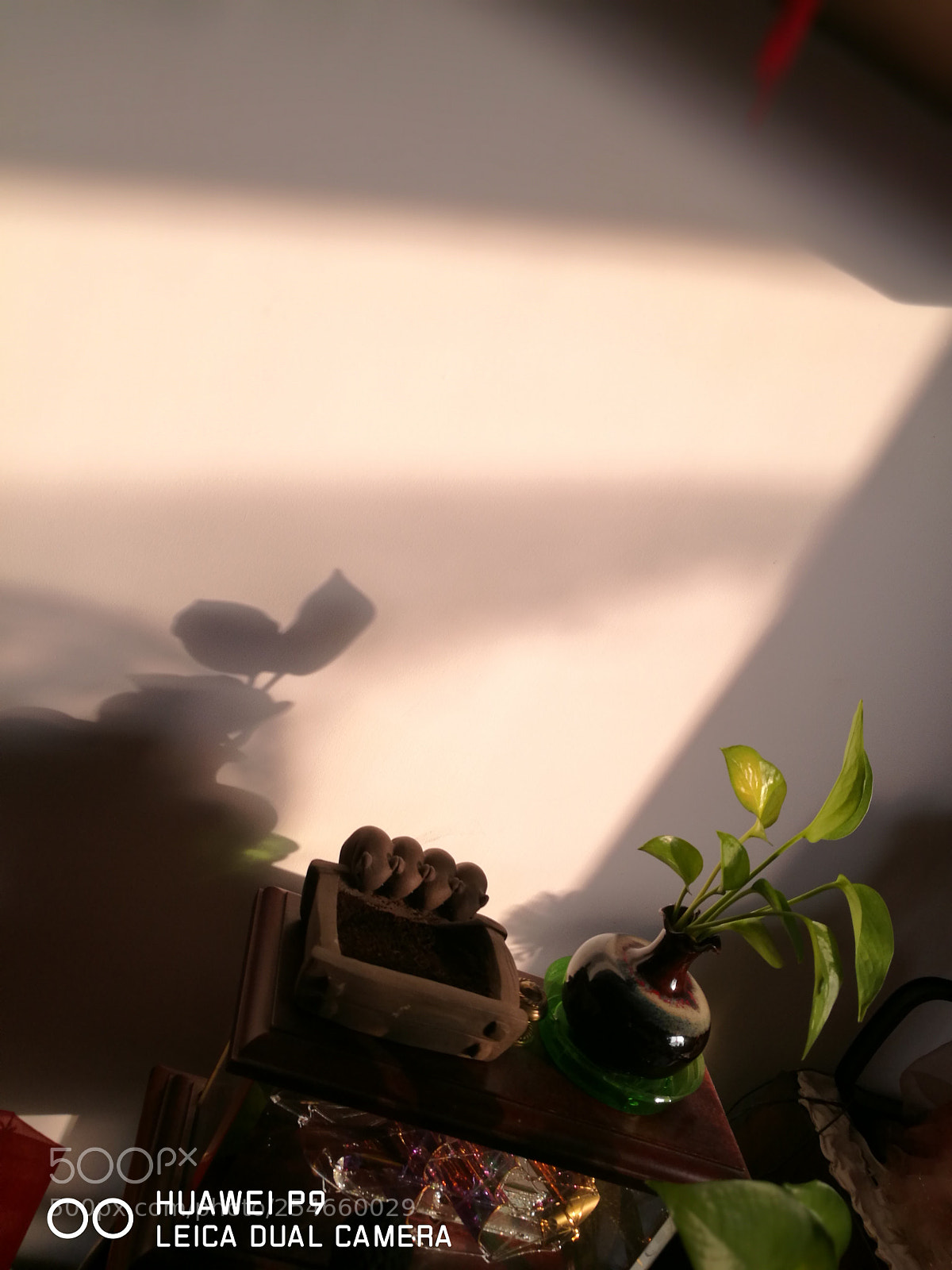 HUAWEI P9 sample photo. Untitled photography