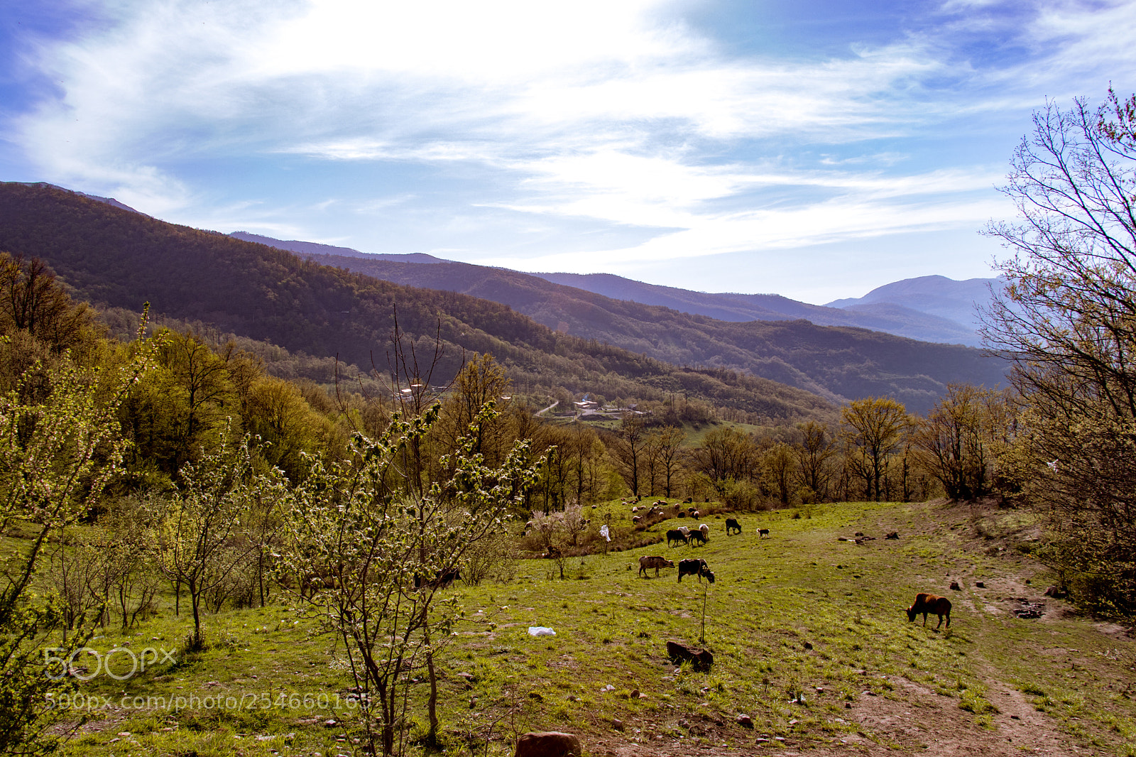 Canon EOS 80D sample photo. Olang forest - golestan photography