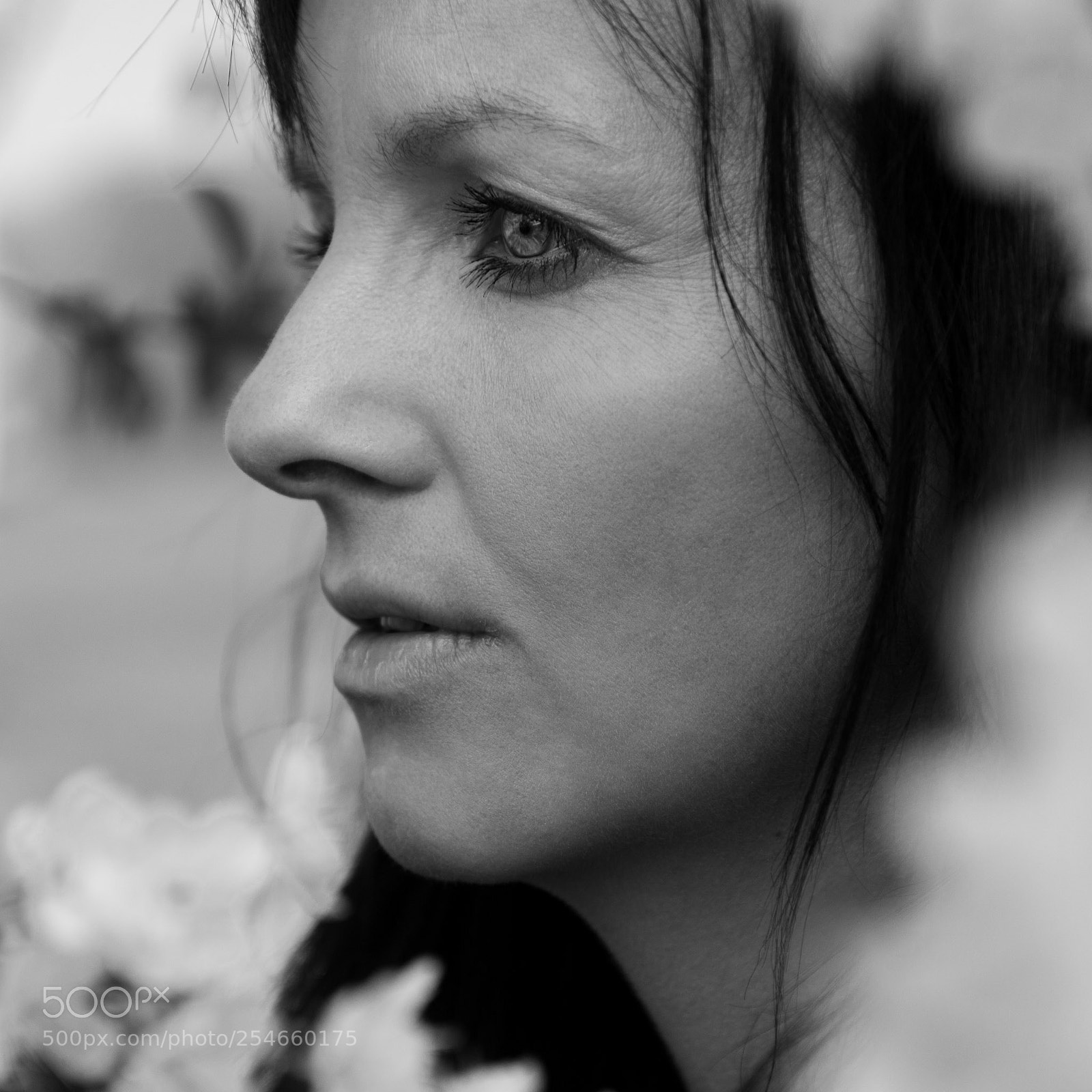 Canon EOS 60D sample photo. 24. flourishing photography