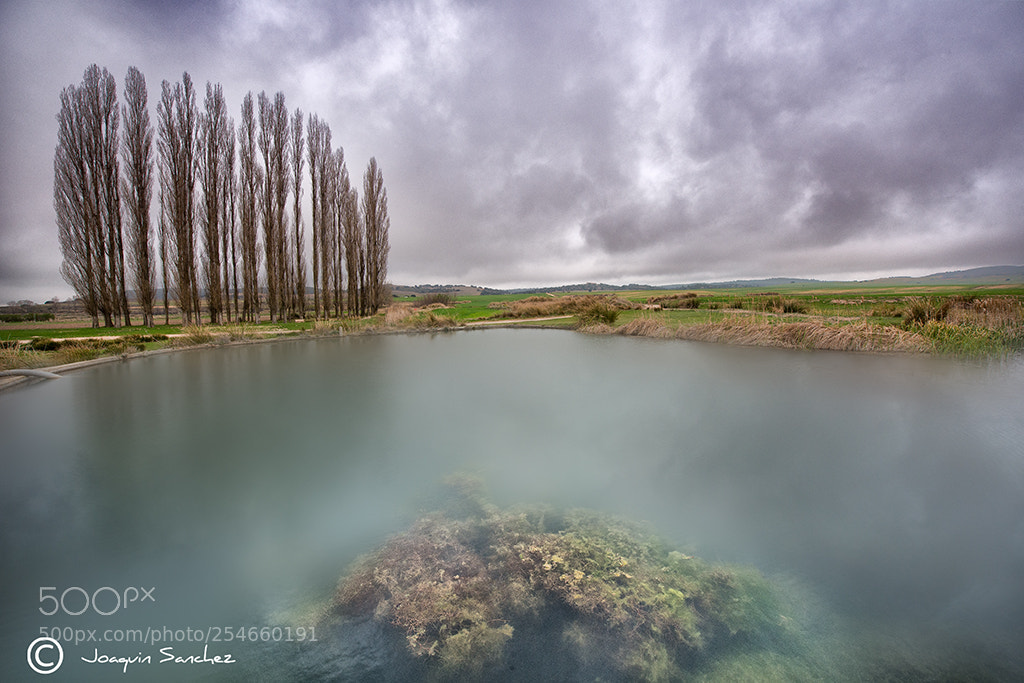Nikon D800 sample photo. El moralejo 2 photography