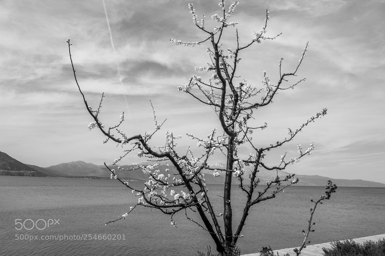 Canon EOS 550D (EOS Rebel T2i / EOS Kiss X4) sample photo. Egirdir lake and nature photography