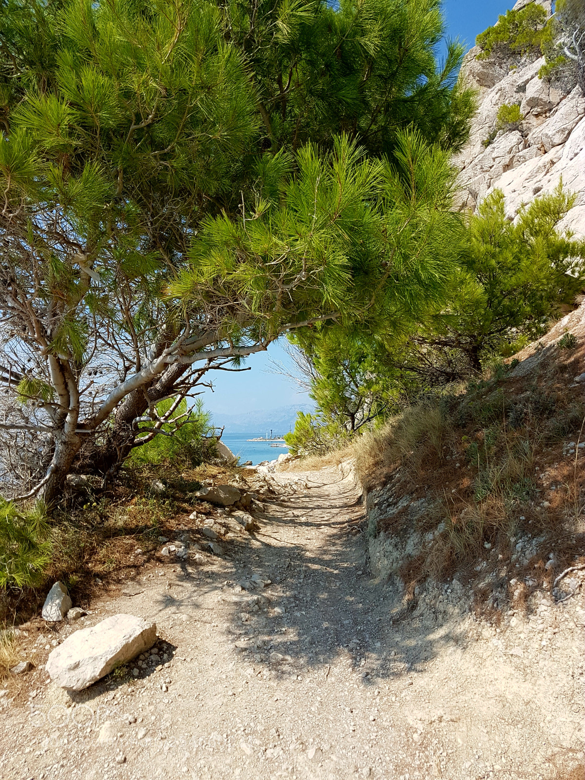 Samsung Galaxy S7 Edge sample photo. Nature hike photography