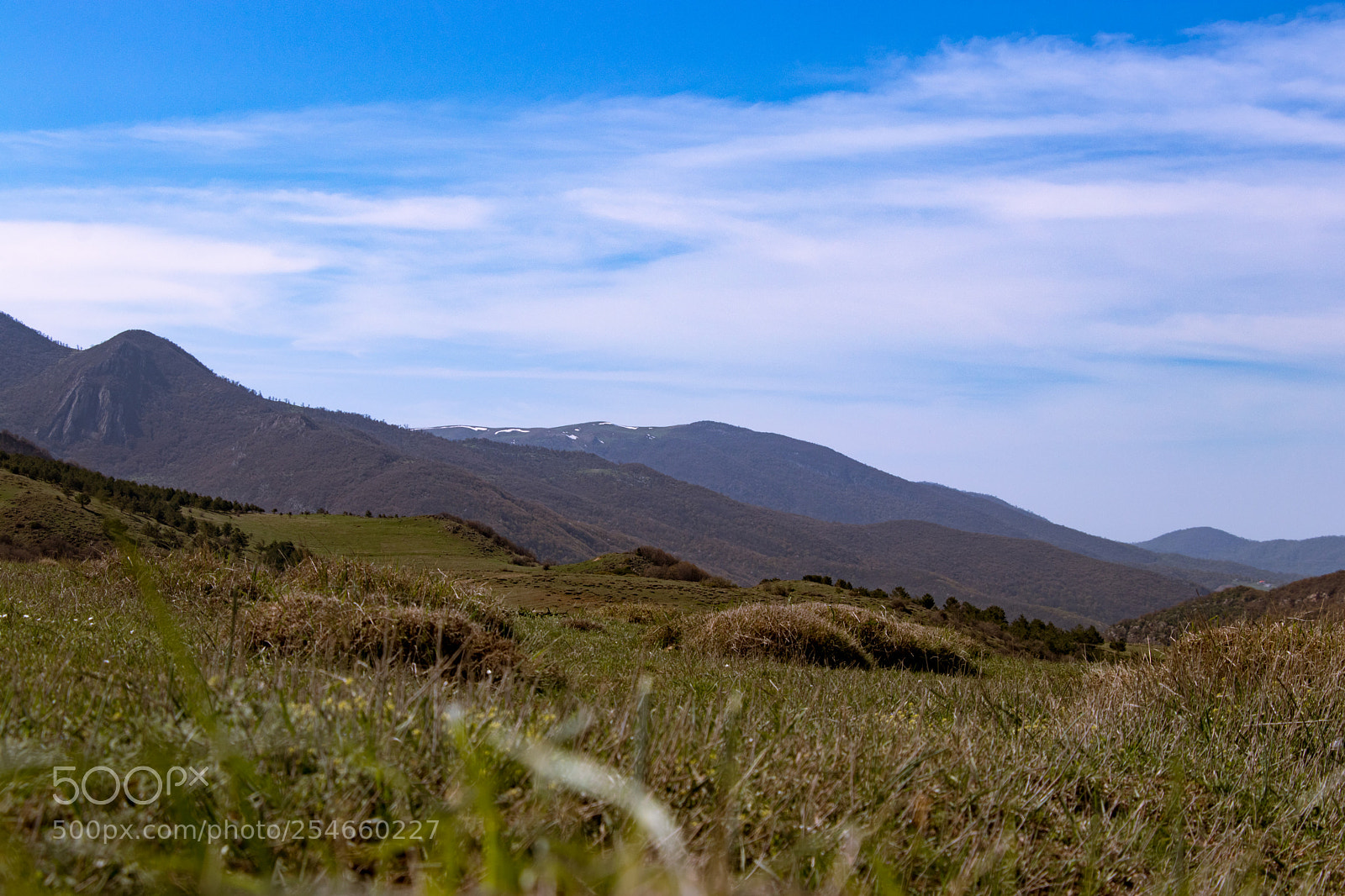 Canon EOS 80D sample photo. Clouds forest - semnan photography