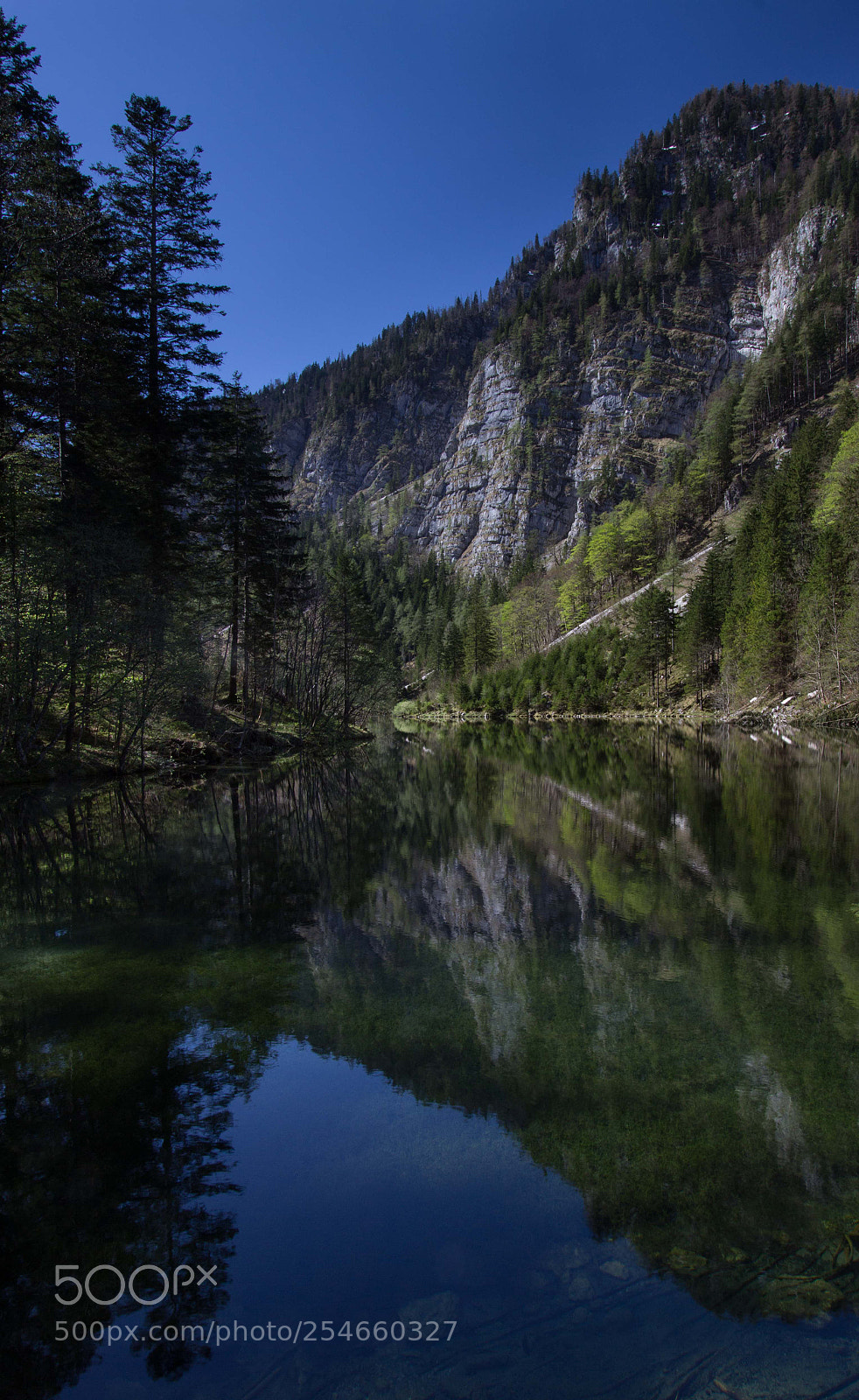 Canon EOS 60D sample photo. Mittersee photography