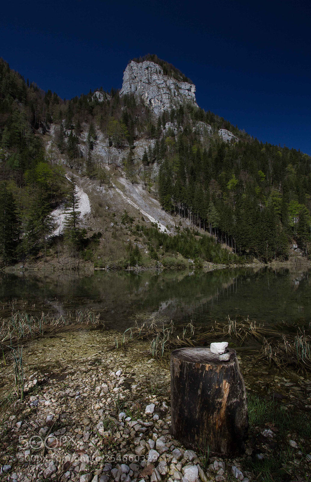Canon EOS 60D sample photo. Mittersee photography