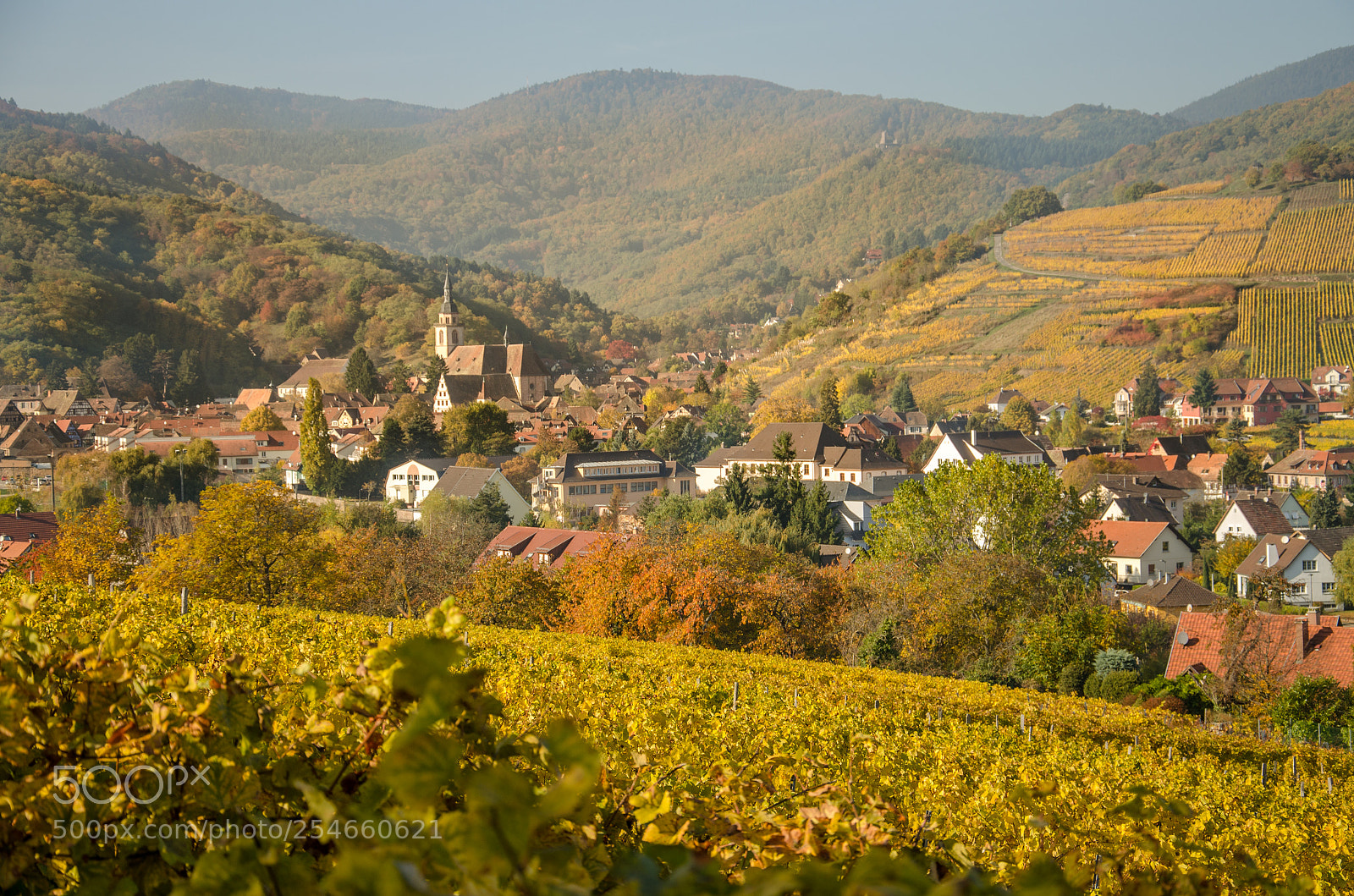 Nikon D5100 sample photo. Andlau - la route photography