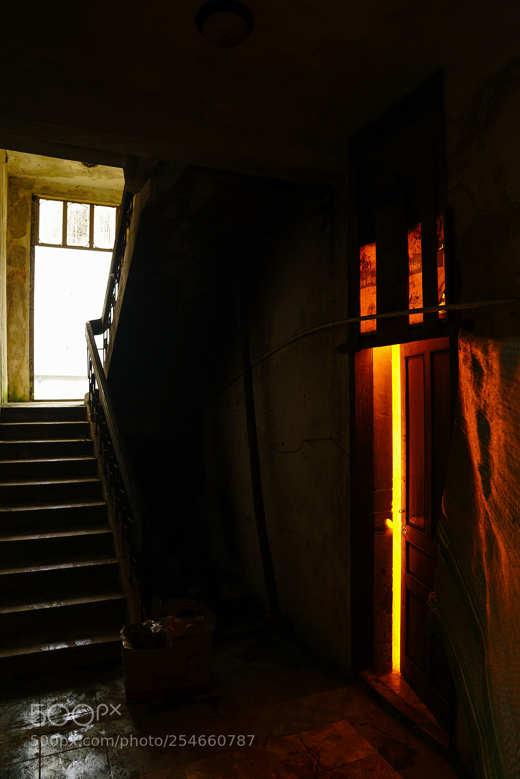 Sony a7R II sample photo. The light is there photography