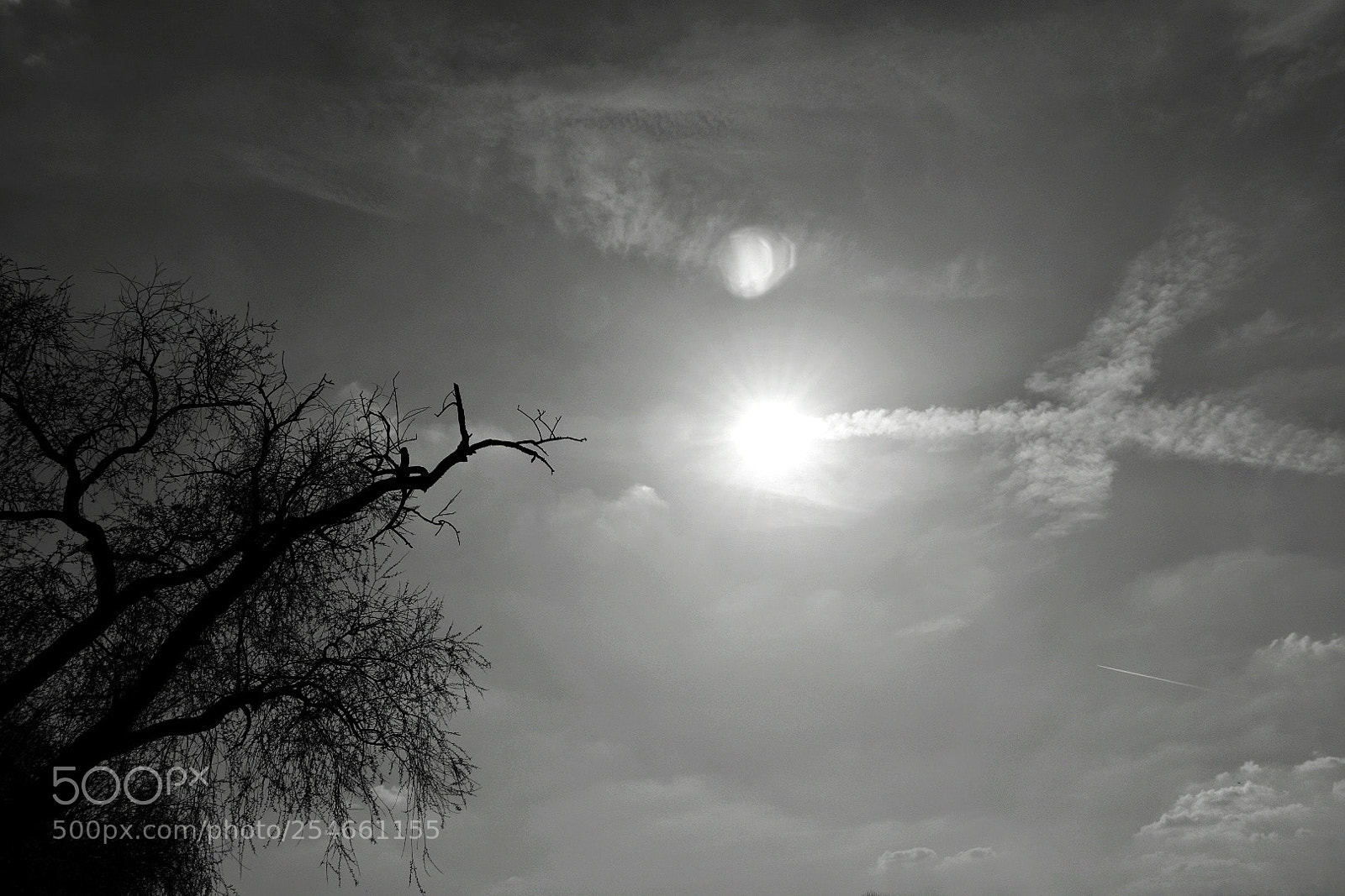 Nikon D3400 sample photo. Dragons in the sky photography