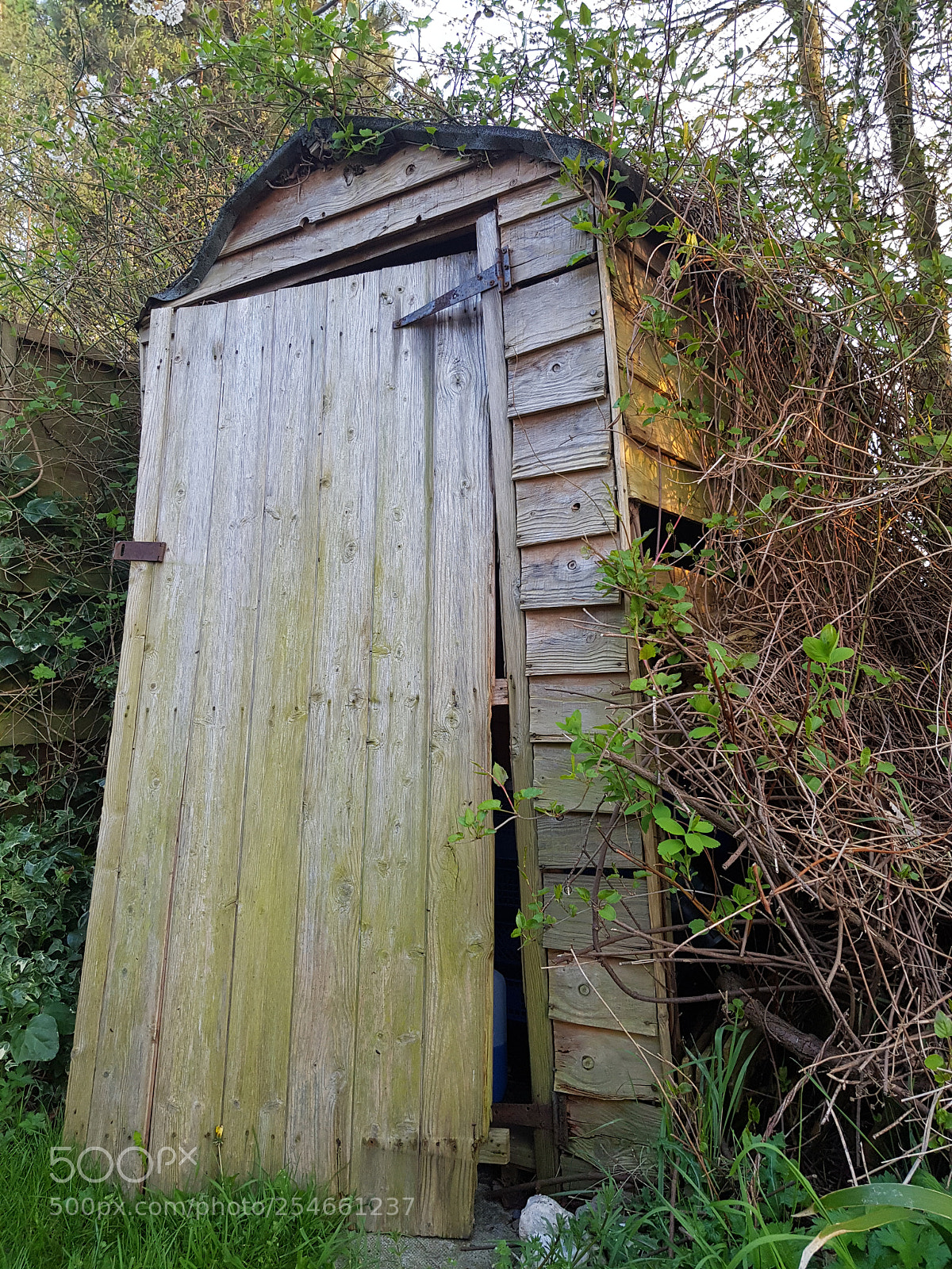 Samsung Galaxy S8 sample photo. Shed photography