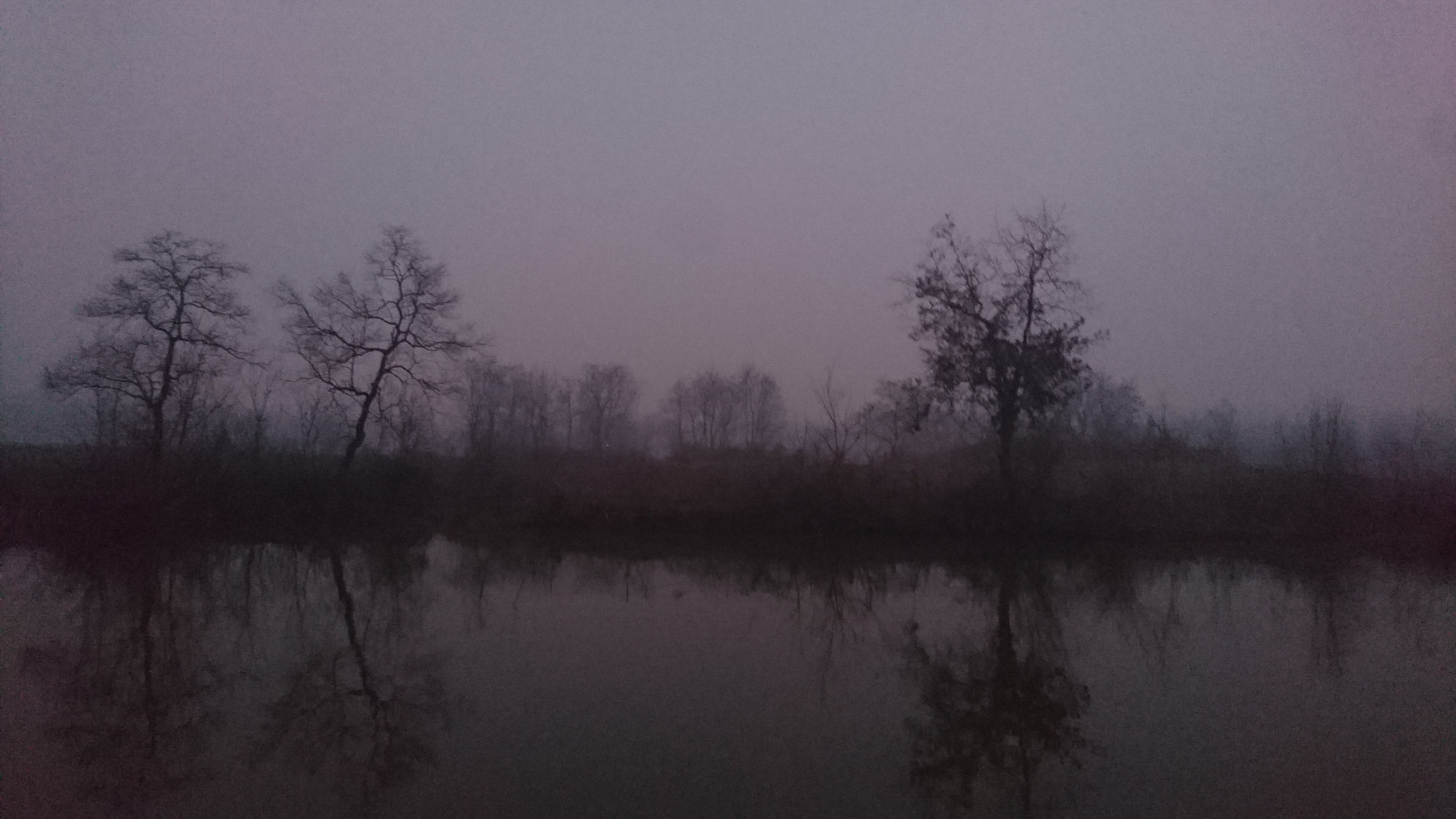 Sony Xperia Z5 sample photo