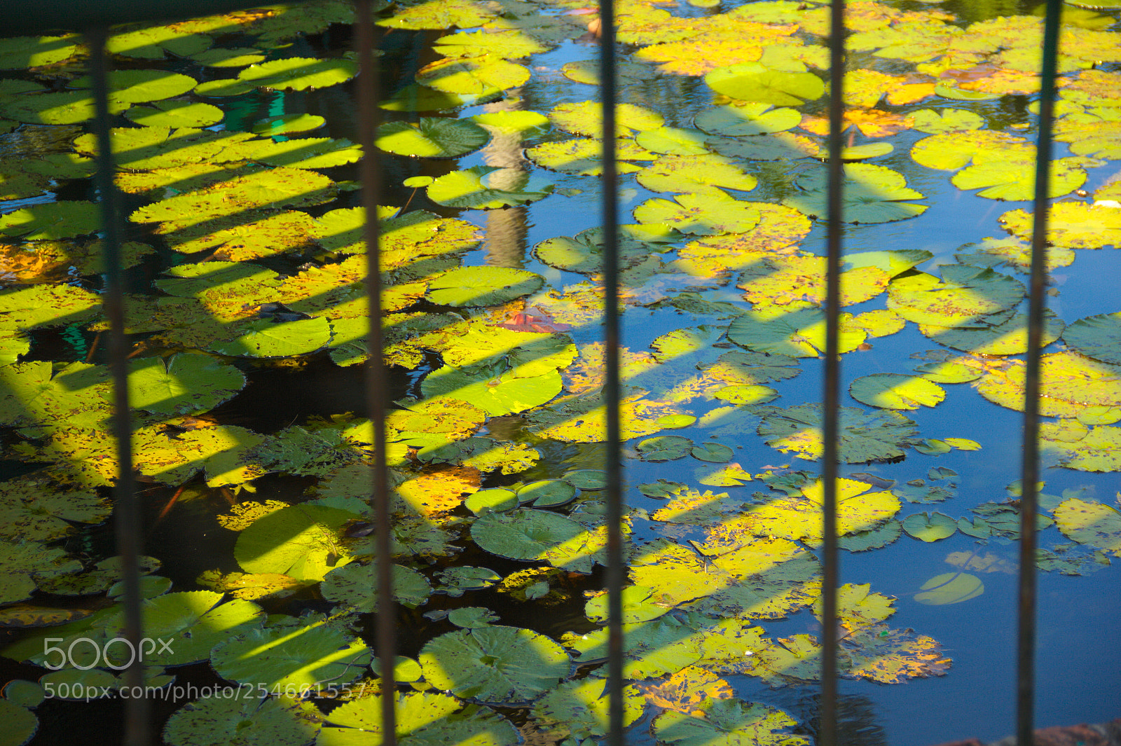 Canon EF-S 18-135mm F3.5-5.6 IS sample photo. Shadow and pattern photography