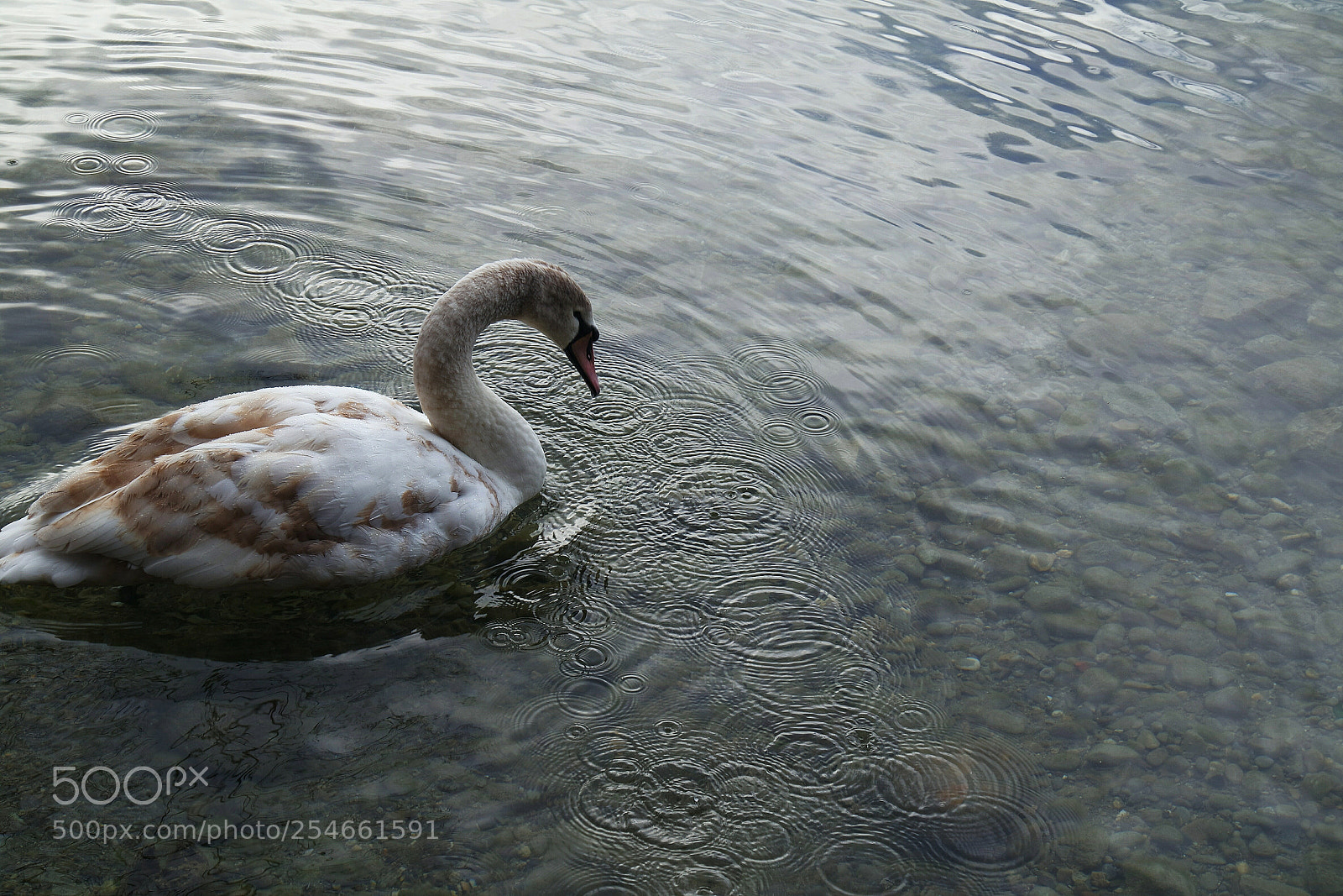 Samsung NX3000 sample photo. Circles photography