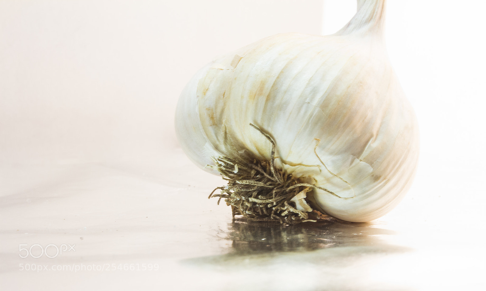Canon EOS 7D sample photo. Garlic clove photography