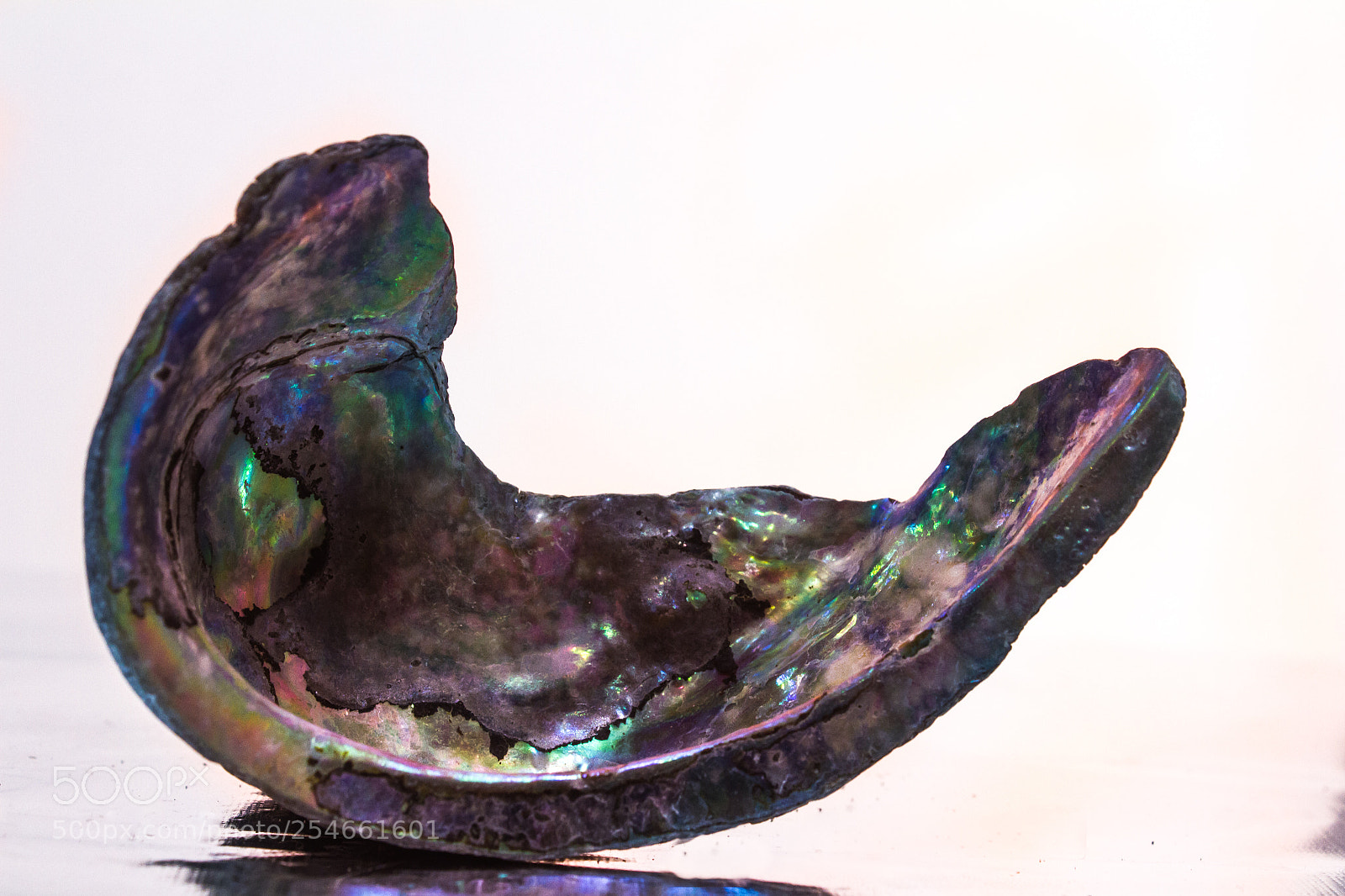Canon EOS 7D sample photo. Paua shell photography