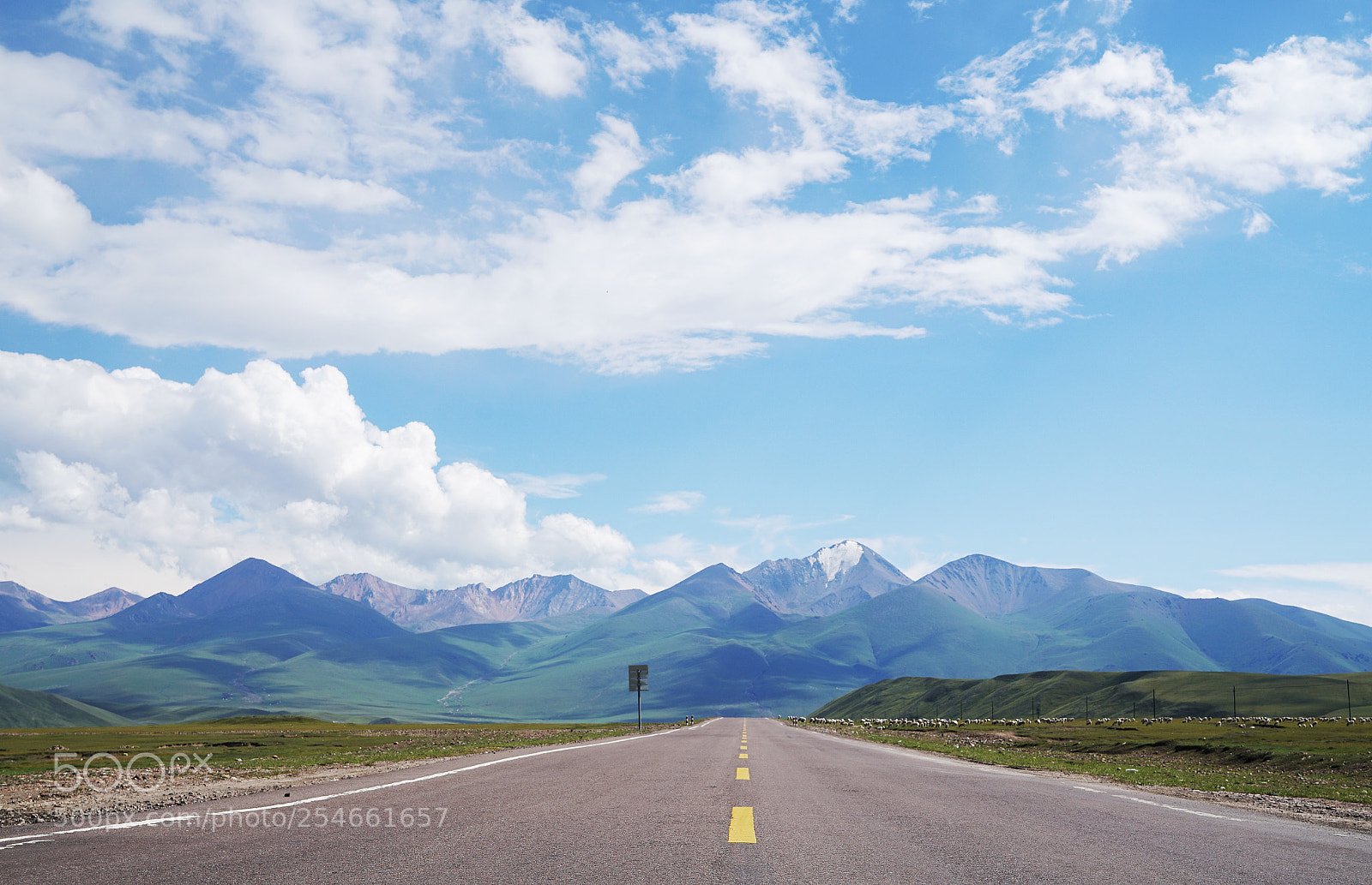 Sony a7R II sample photo. Untitled photography