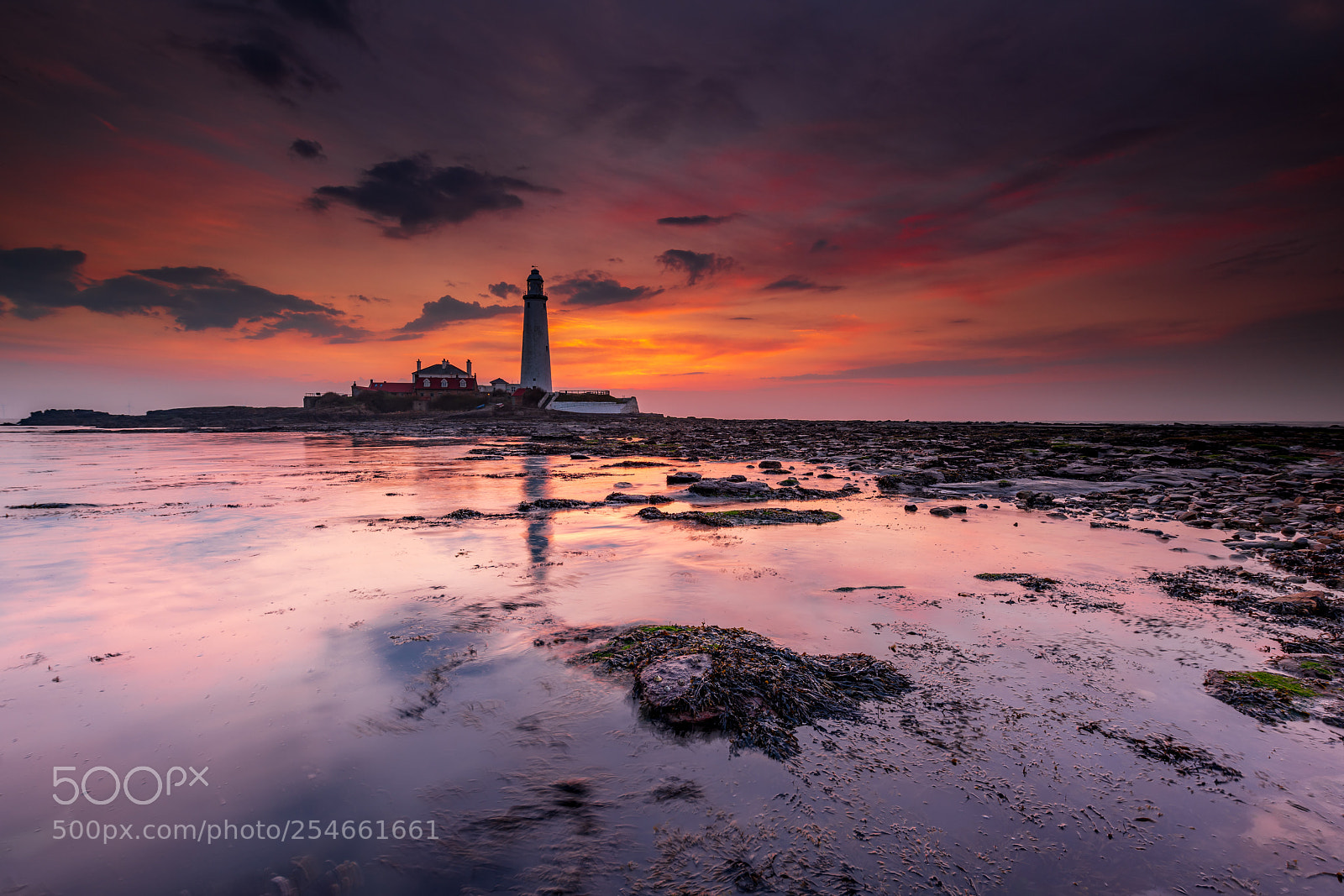 Nikon D850 sample photo. St mary's island sunrise photography