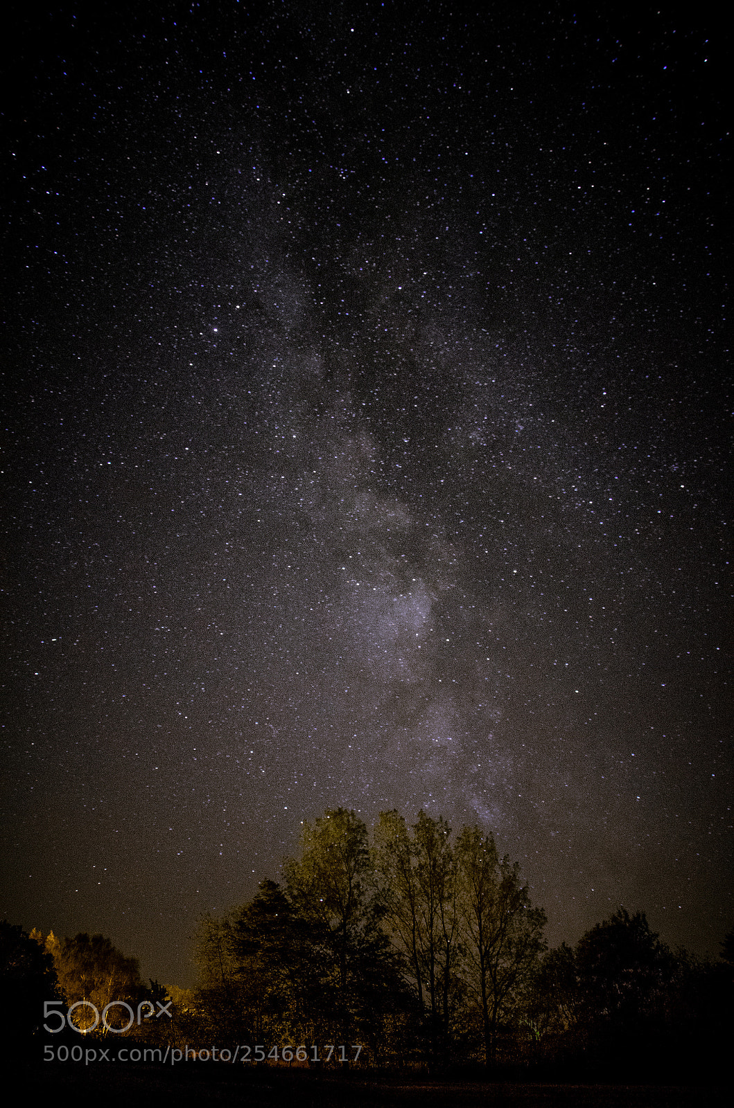 Nikon D7000 sample photo. Wunder der natur photography