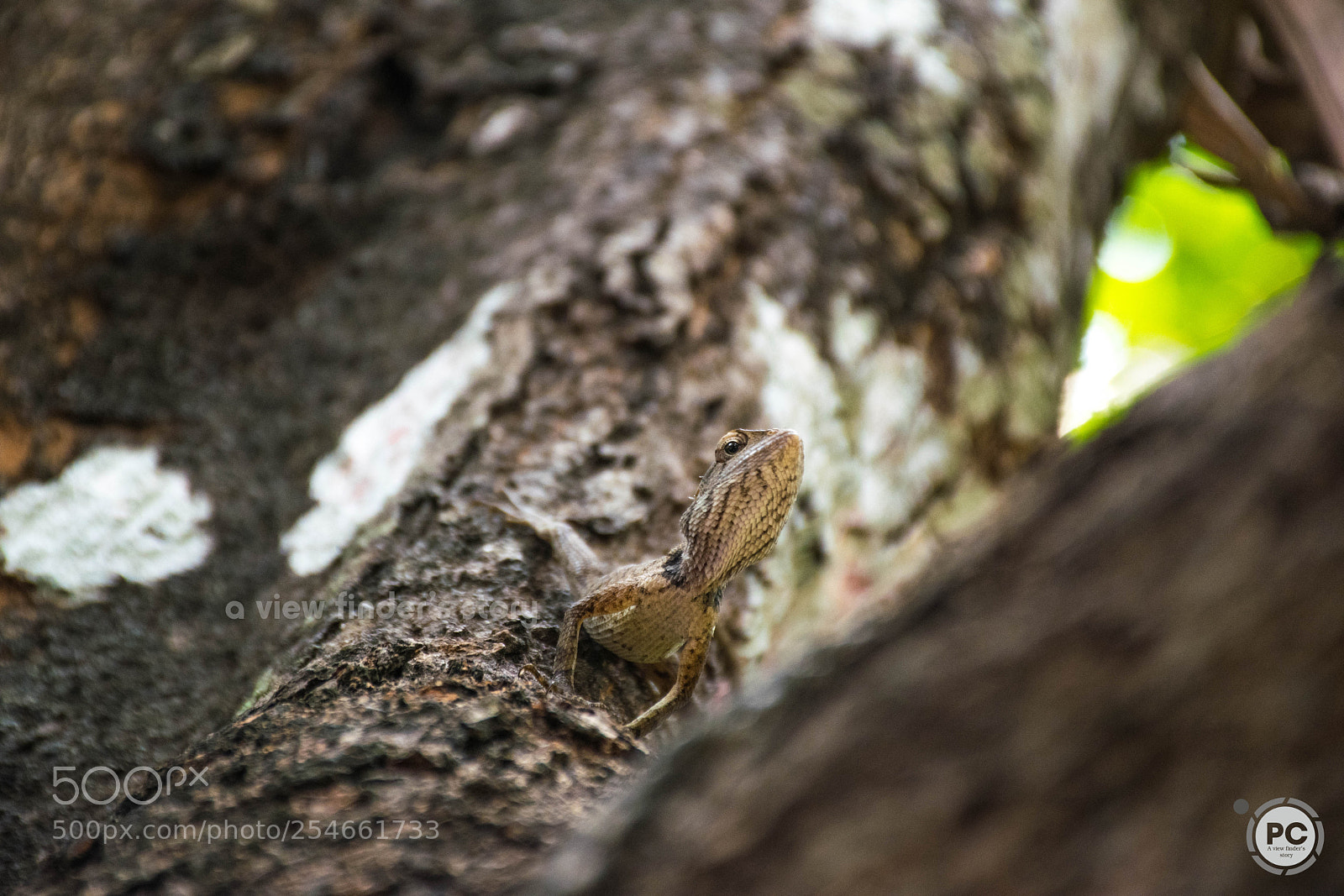 Nikon D5300 sample photo. Invisible photography
