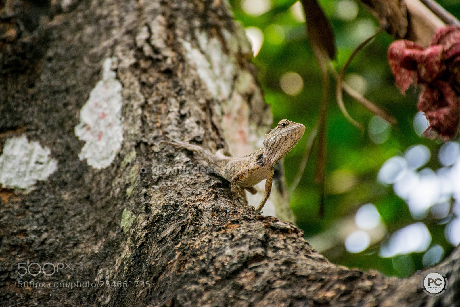 Nikon D5300 sample photo. Invisible ii photography