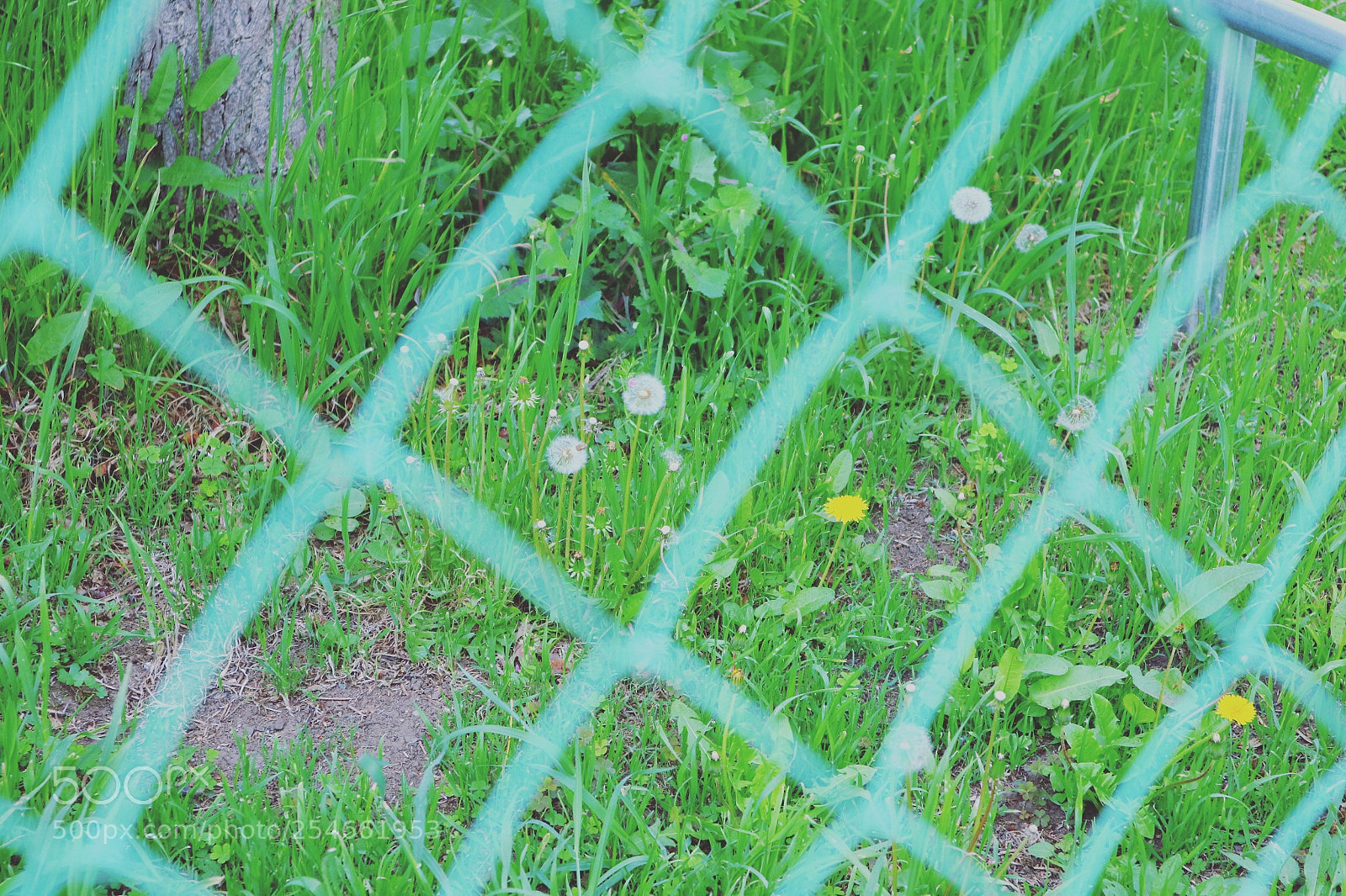 Canon EOS M3 sample photo. Fence photography