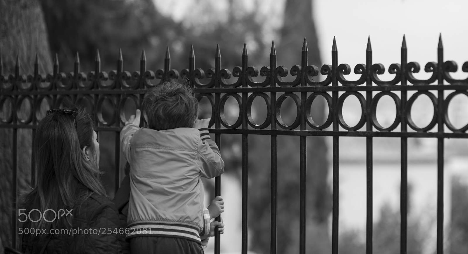 Nikon D700 sample photo. A curious mind cannot photography