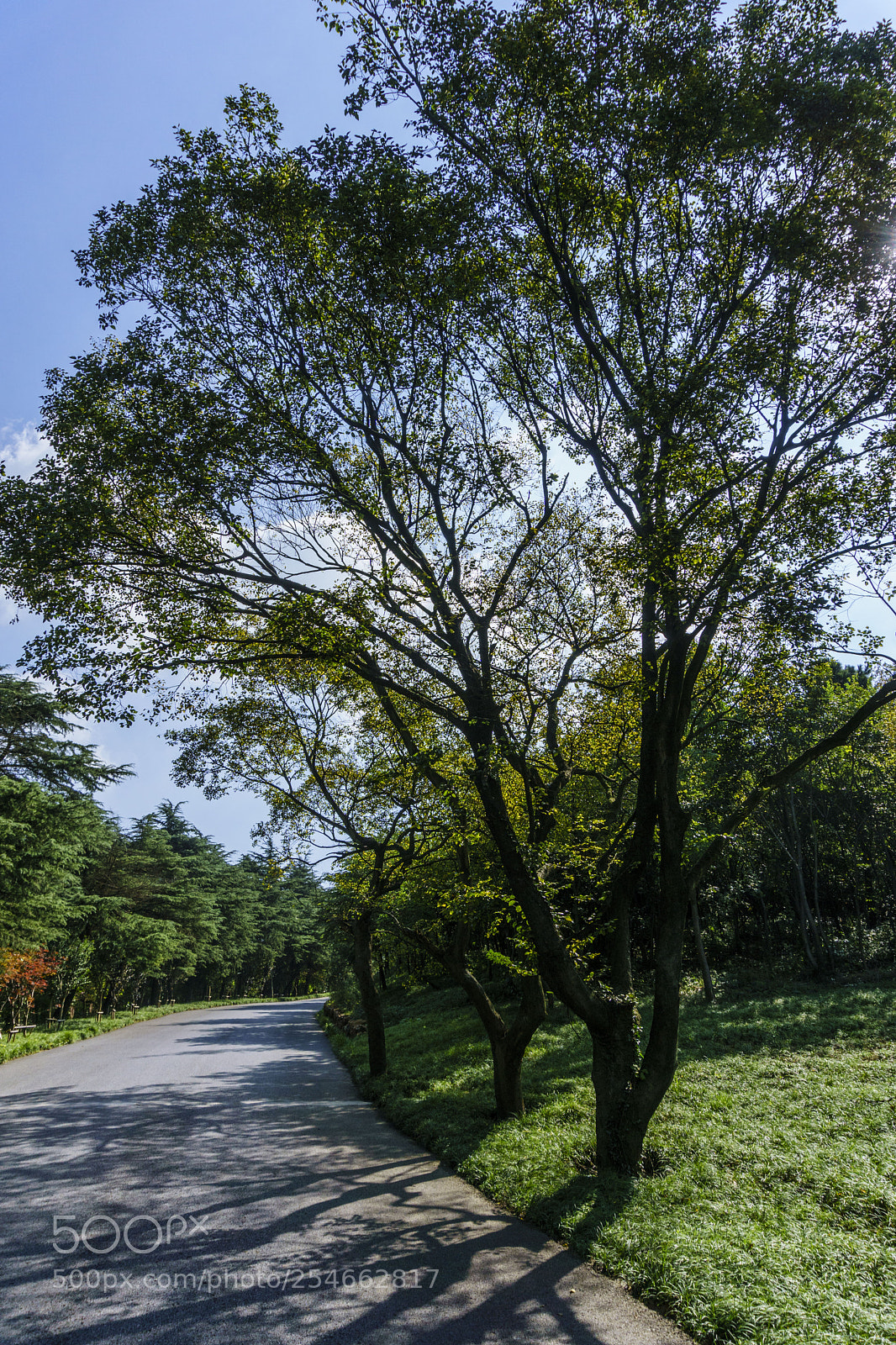 Sony a6000 sample photo. Untitled photography