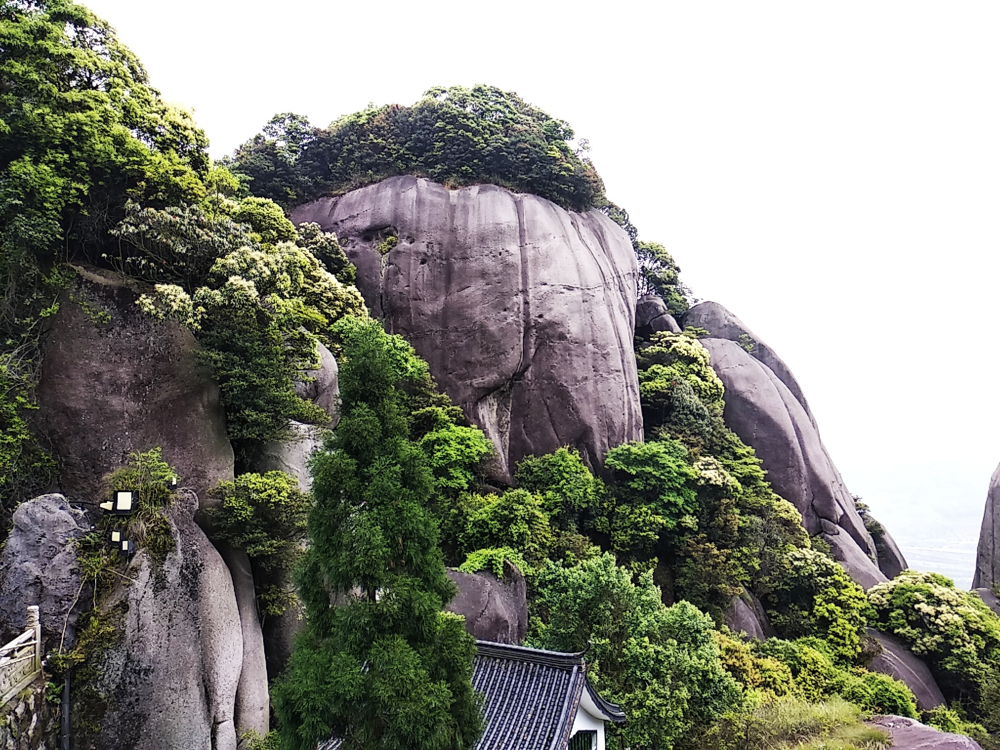 Xiaomi Redmi 5 Plus sample photo