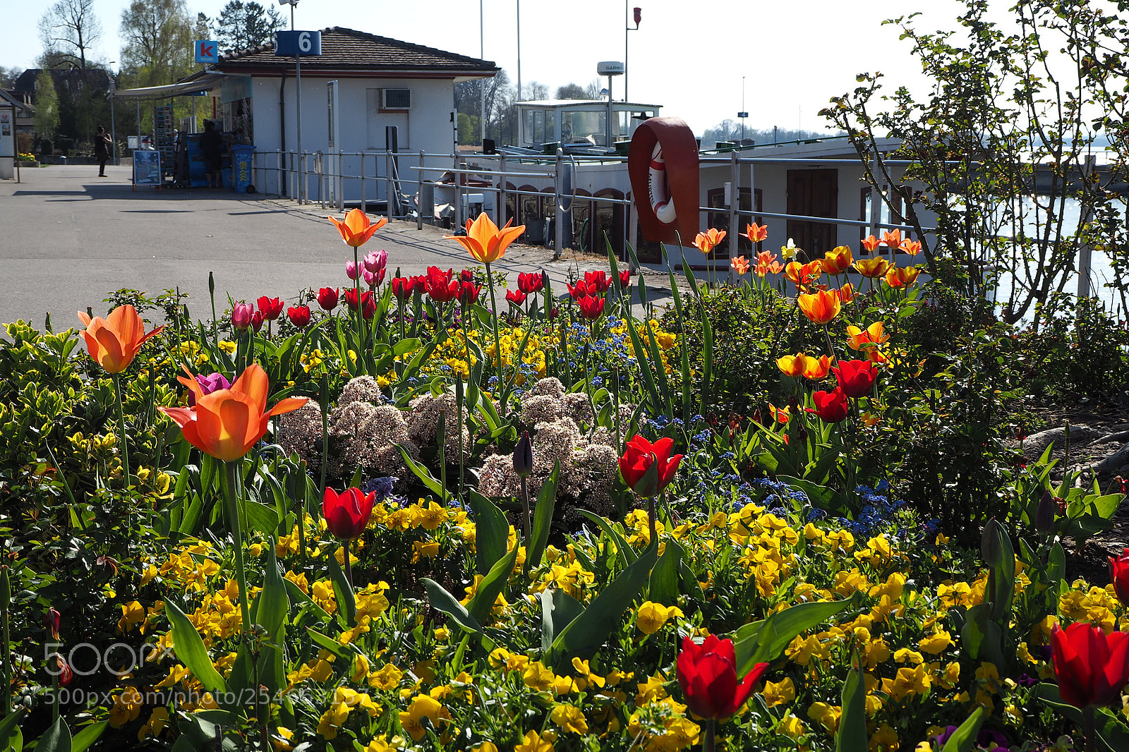 Olympus OM-D E-M10 sample photo. Flowers in the harbor photography