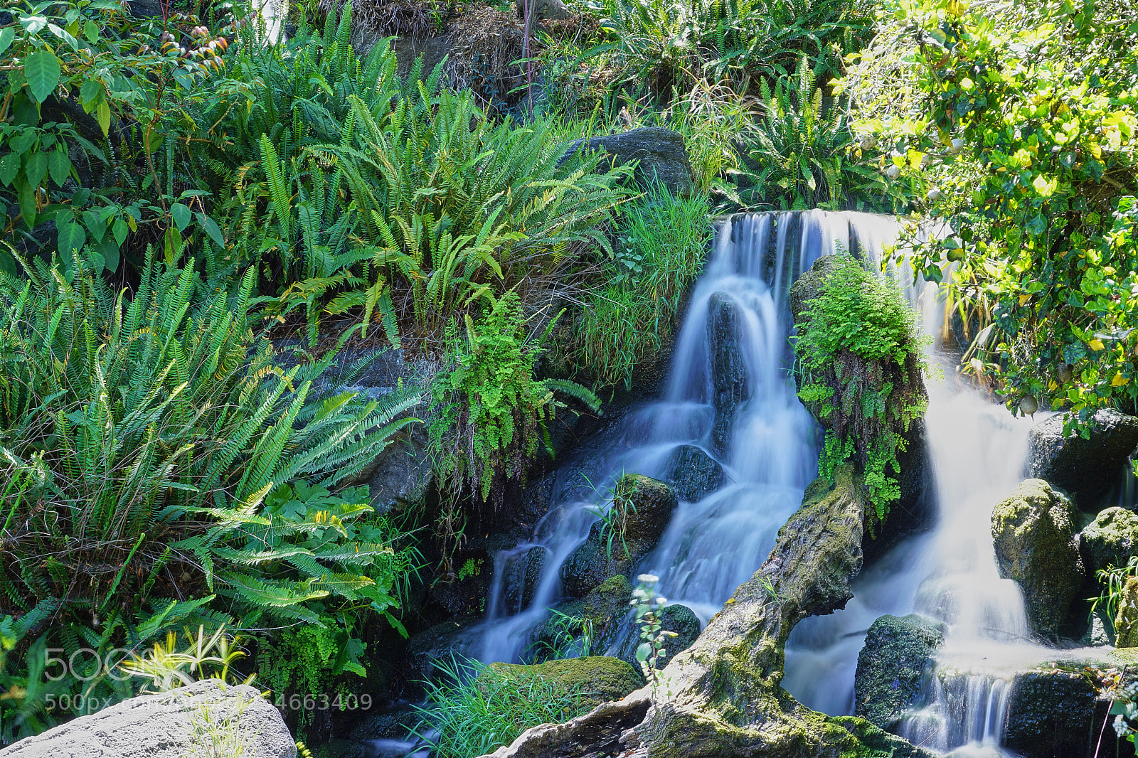 Sony a6000 sample photo. Water fall 1 photography