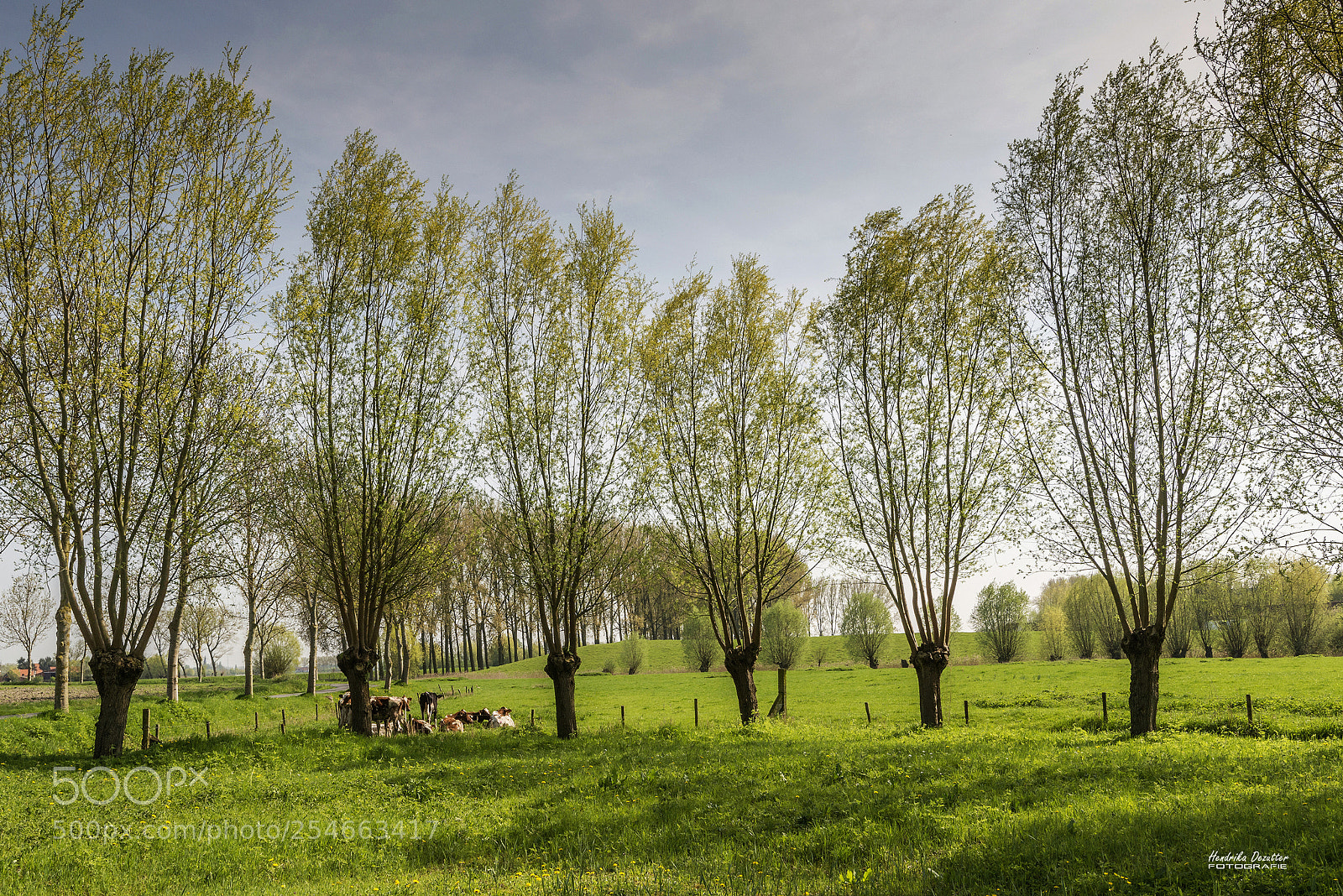 Nikon D800 sample photo. A nice day in photography