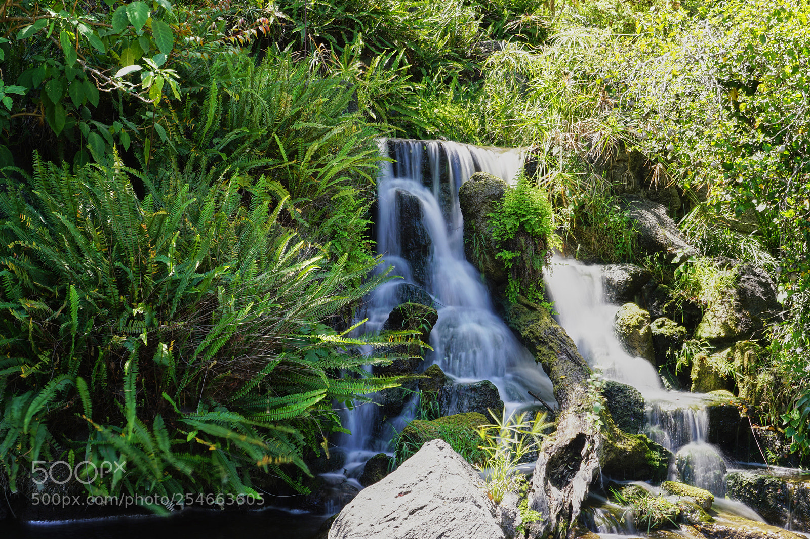 Sony a6000 sample photo. Water fall photography