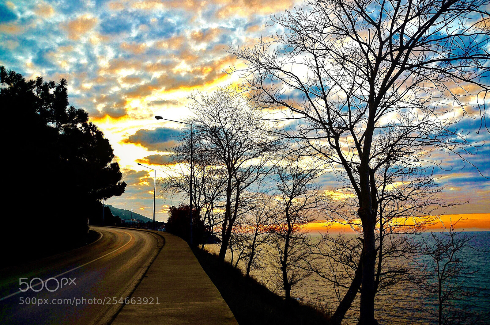 Nikon D7000 sample photo. Jogging time view photography
