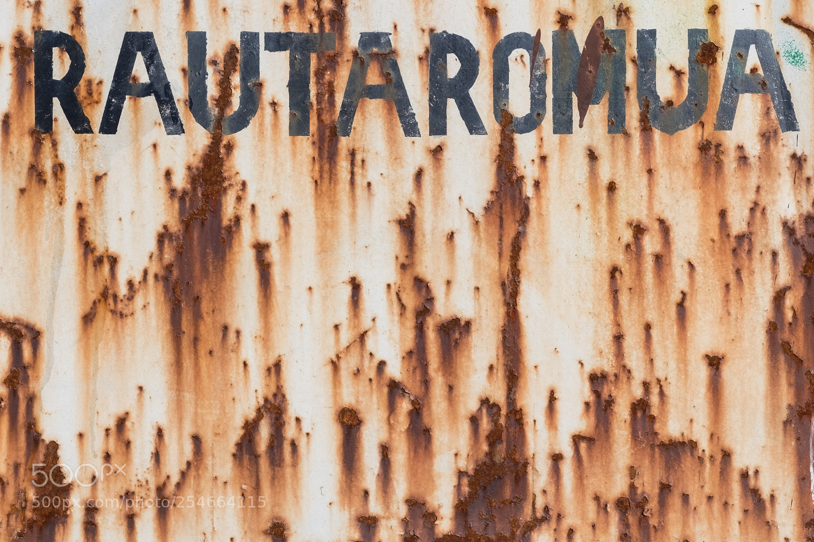 Fujifilm X-T1 sample photo. Rautaromua photography