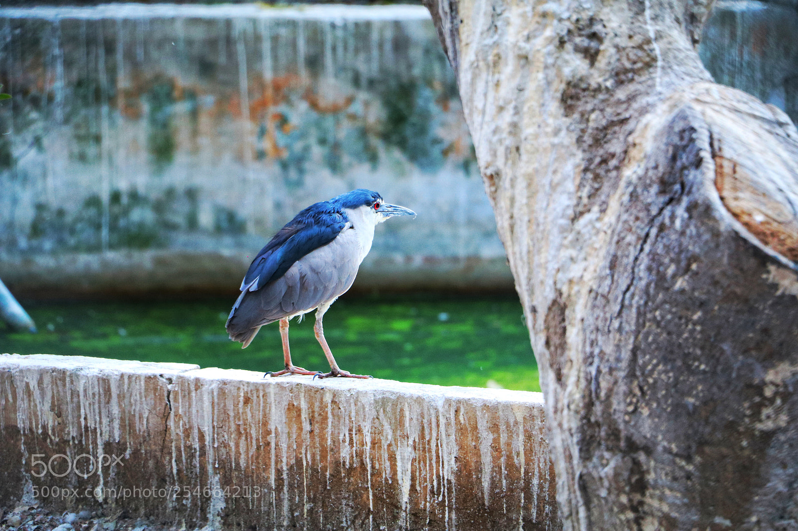 Canon EOS 80D sample photo. Untitled photography