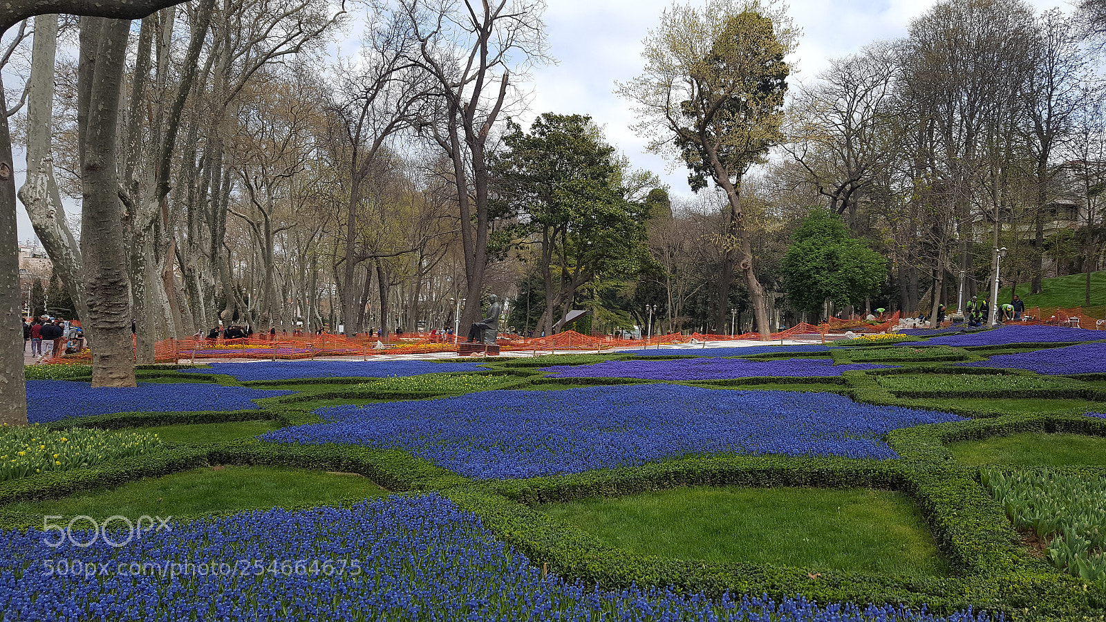 Samsung GALAXY S6 edge sample photo. Colourful garden photography