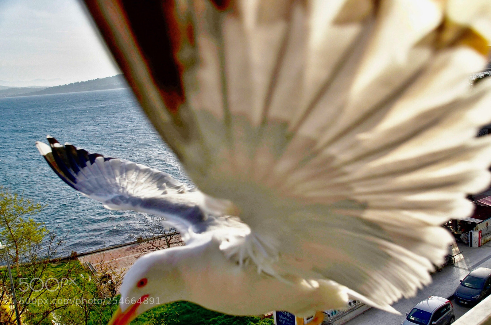 Nikon D7000 sample photo. Catch me if you photography