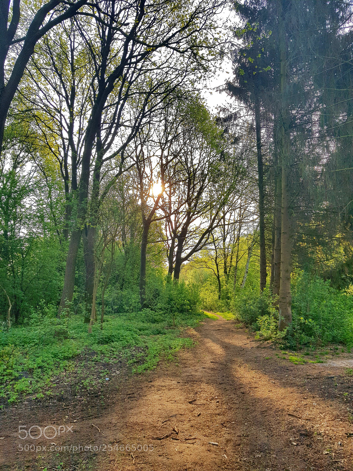 Samsung Galaxy S8 sample photo. Morning sun photography