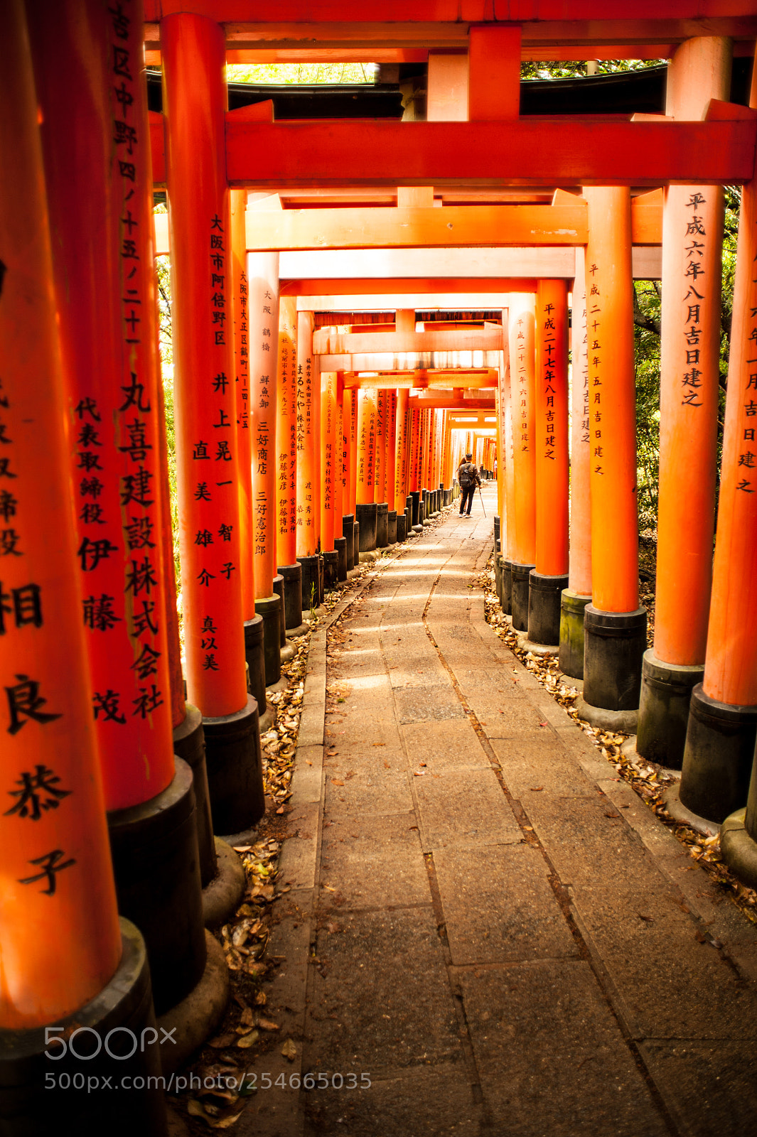 Nikon D700 sample photo. Thousand gates fushimi inari photography