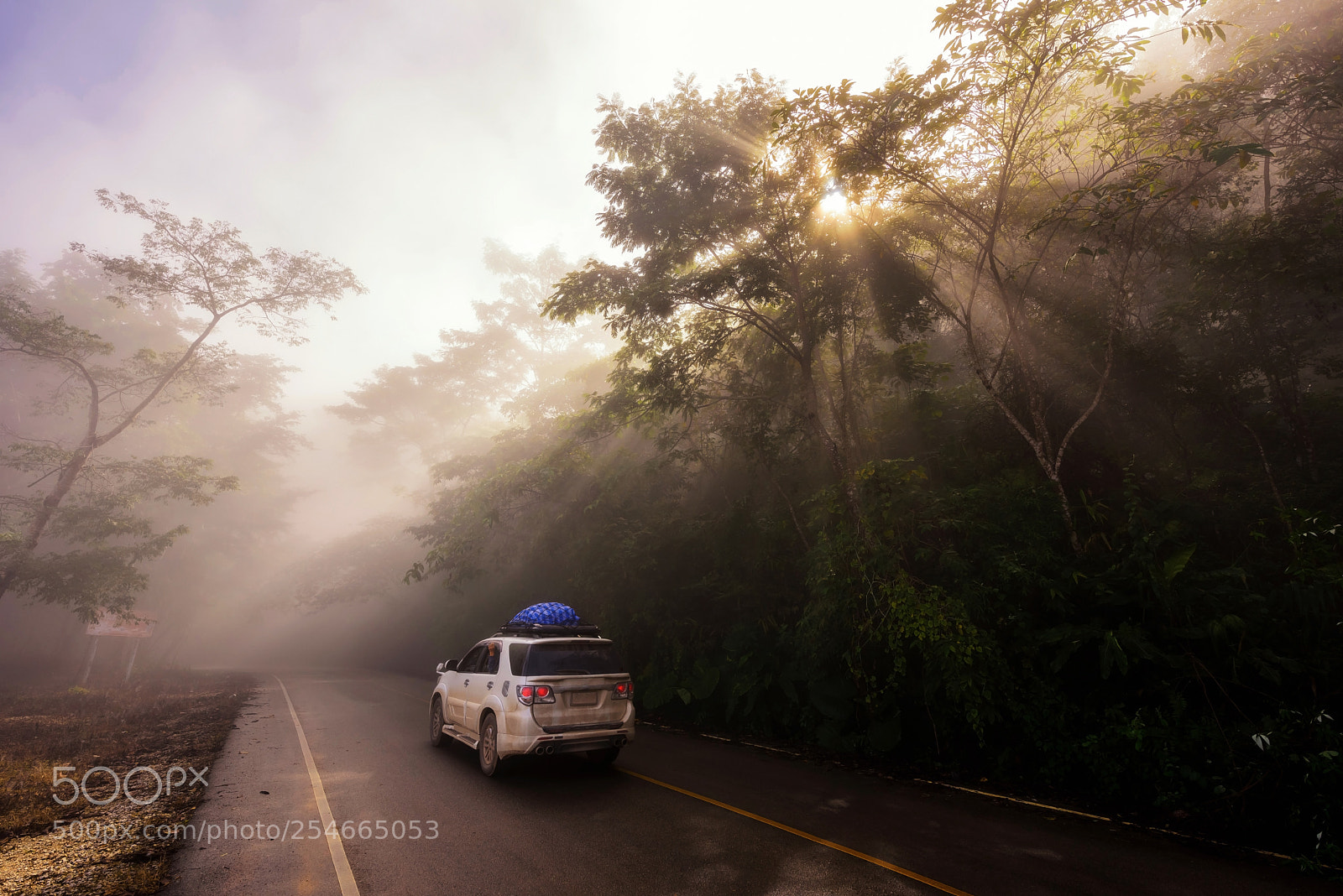 Nikon D810 sample photo. Dream road trip photography