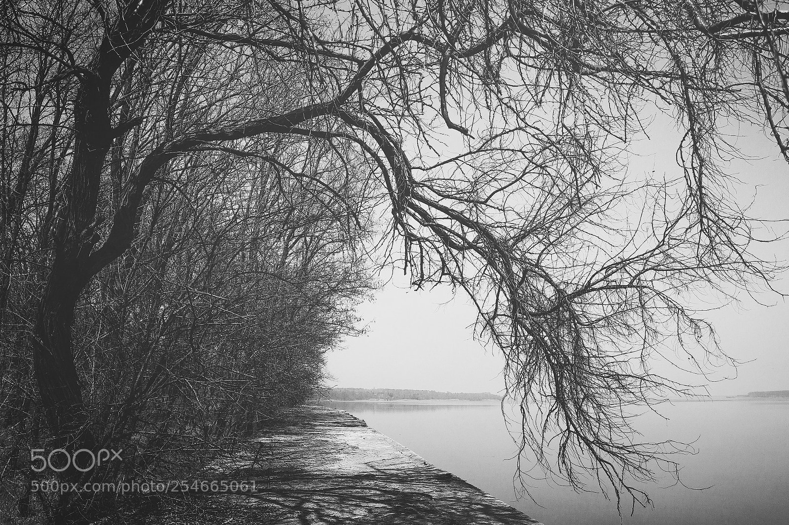 Canon EOS 60D sample photo. Riverside photography