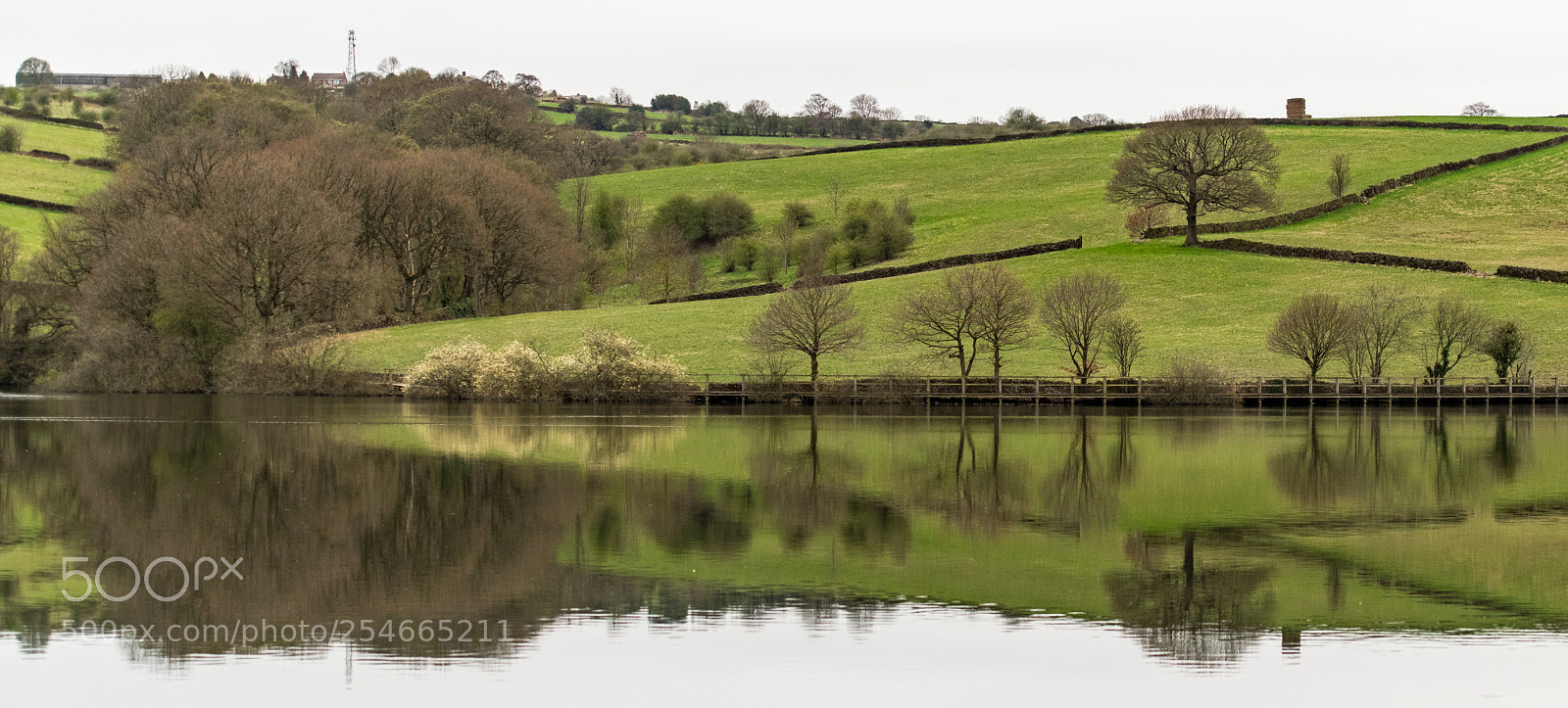 Nikon D850 sample photo. Linacre boardwalk photography