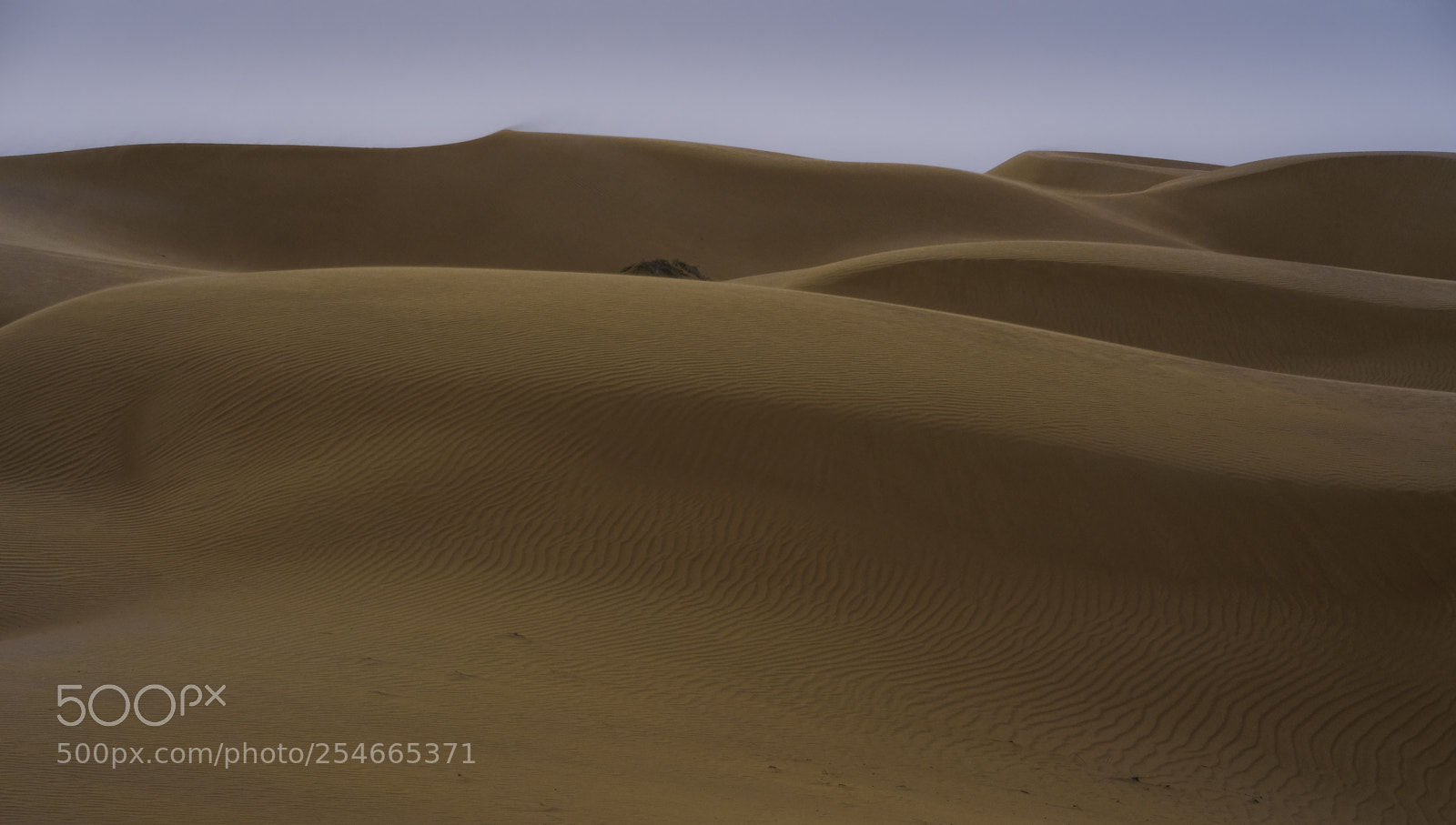 Sony a7 II sample photo. Desert ar-rab al-chali dunes photography