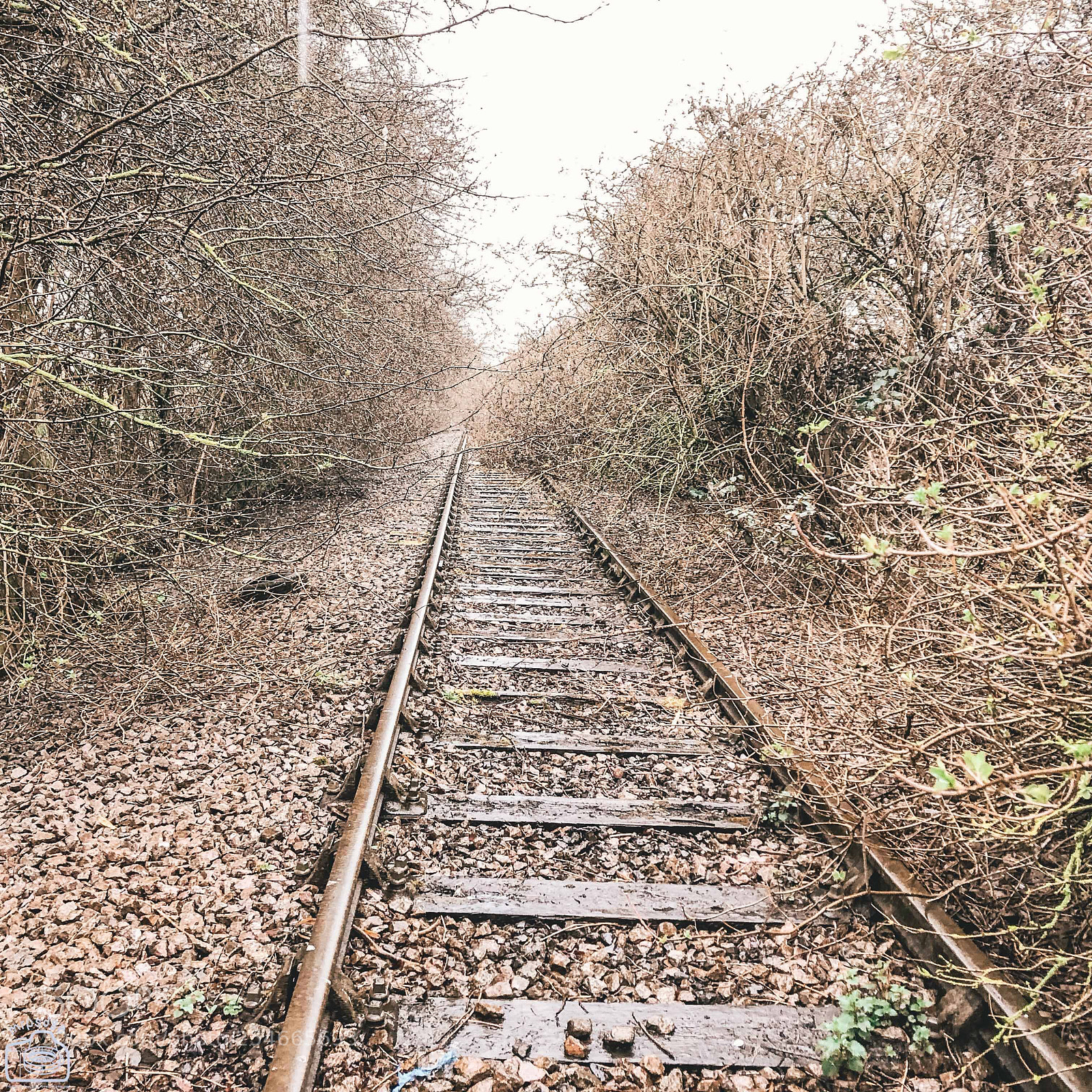 Apple iPhone 8 sample photo. R is for ... railway photography