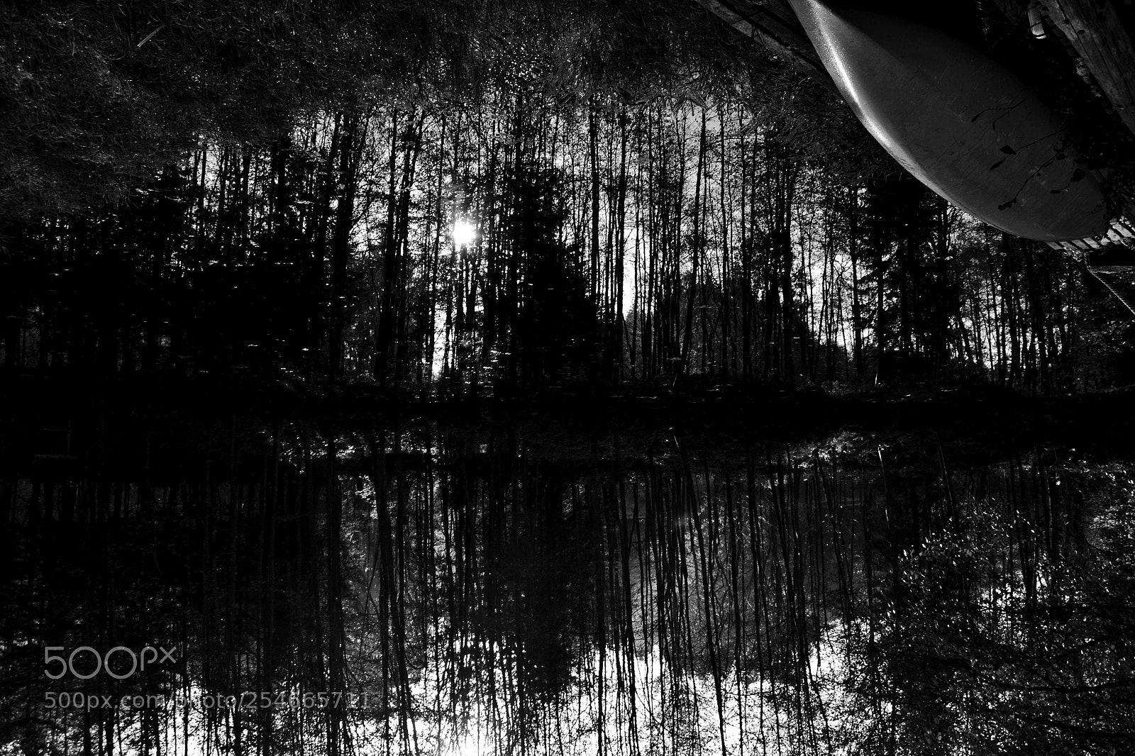 Nikon D3100 sample photo. Float photography