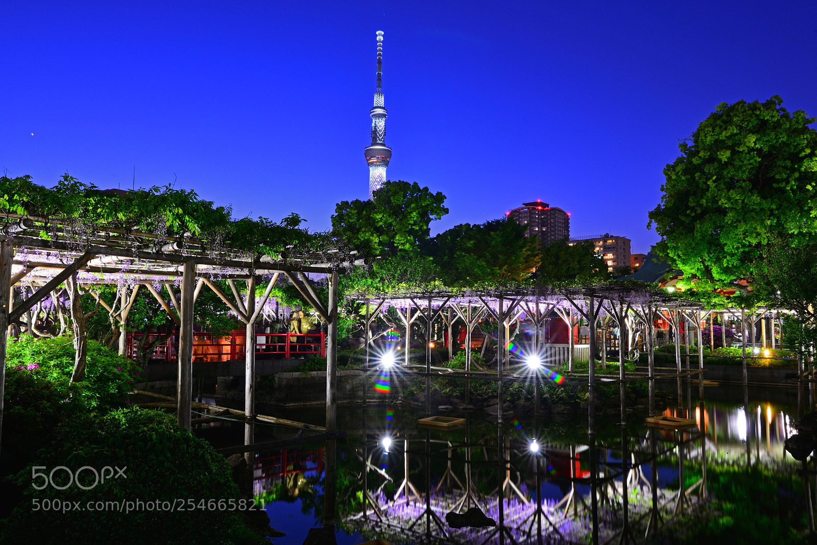 Nikon D610 sample photo. A photography