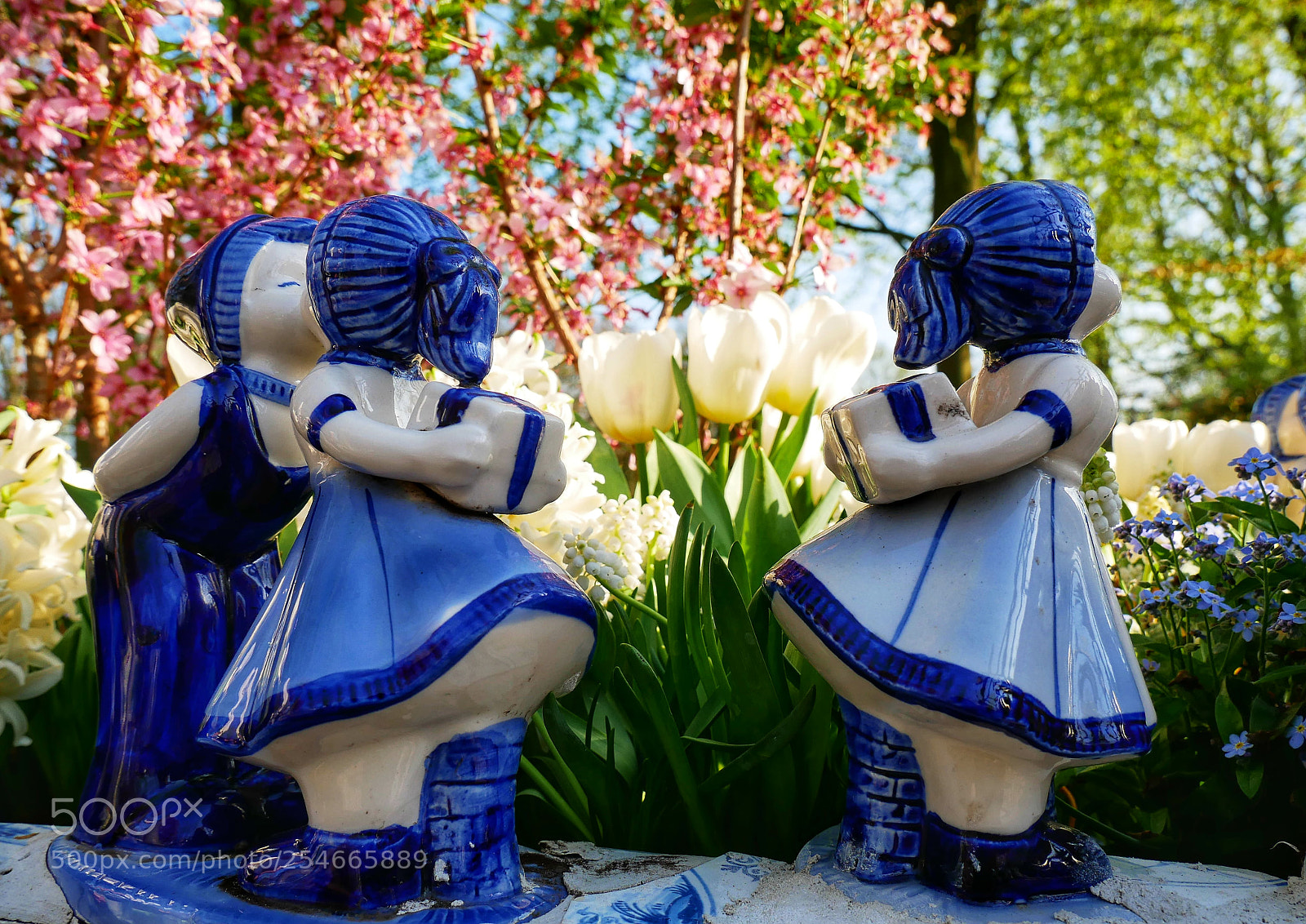 Panasonic Lumix DMC-G85 (Lumix DMC-G80) sample photo. Love holland photography