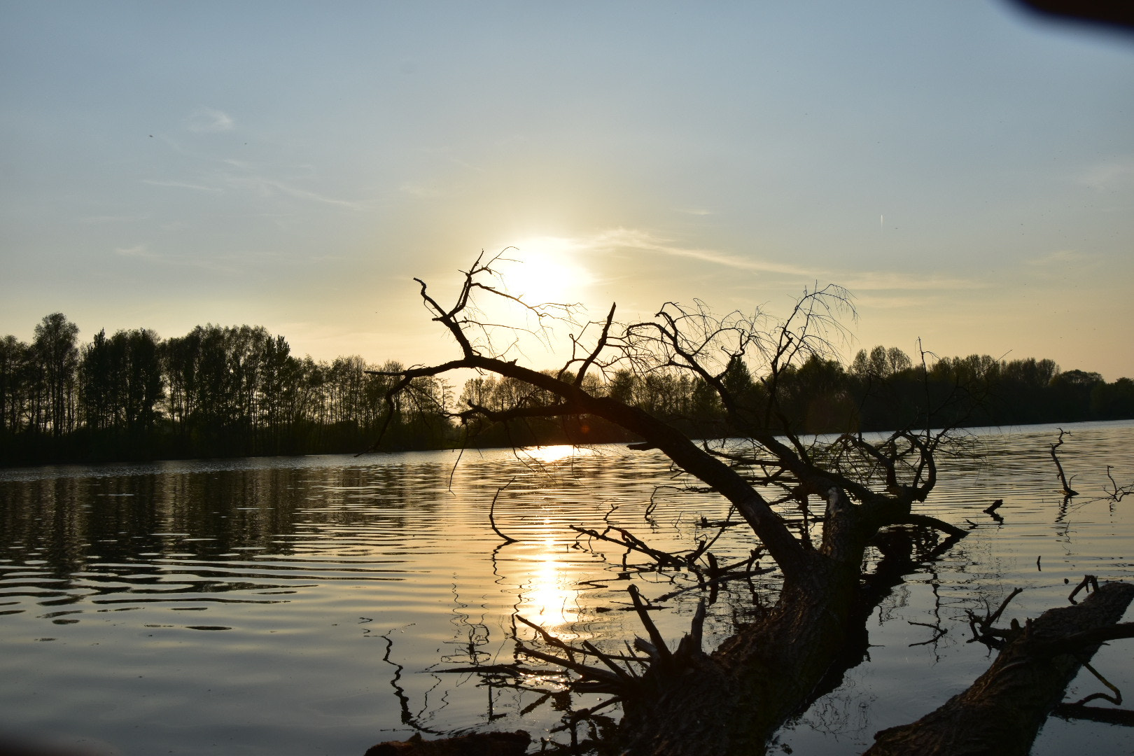 Nikon D5600 sample photo