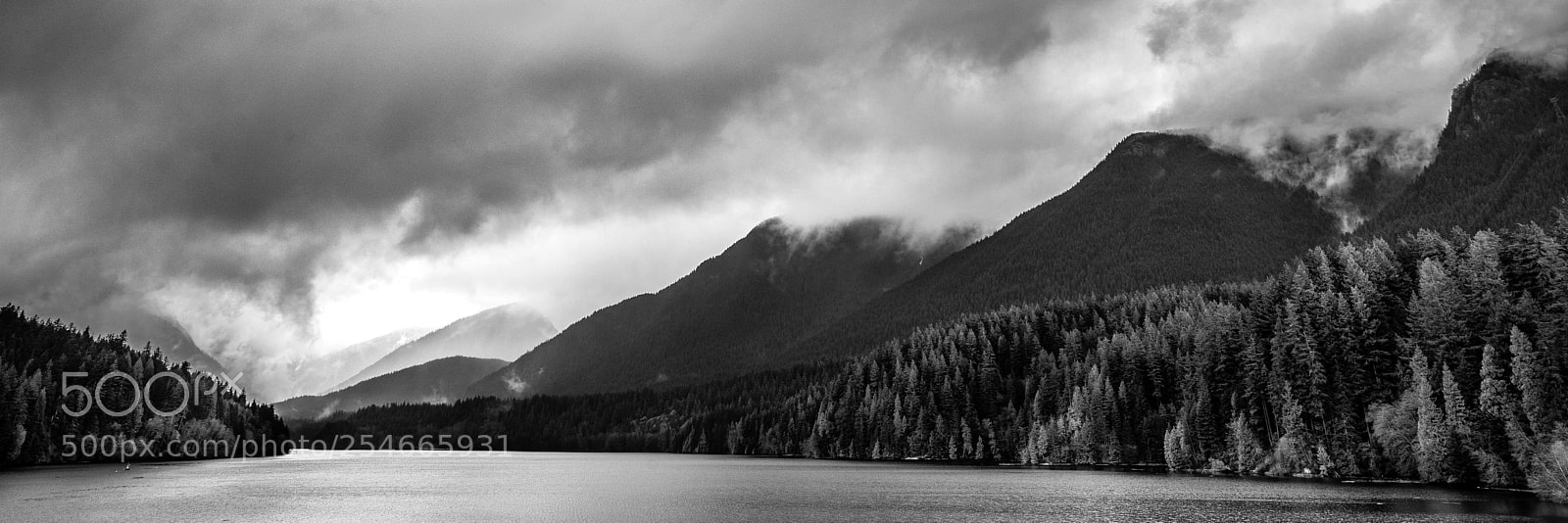 Sony a7 II sample photo. Capilano river valley photography